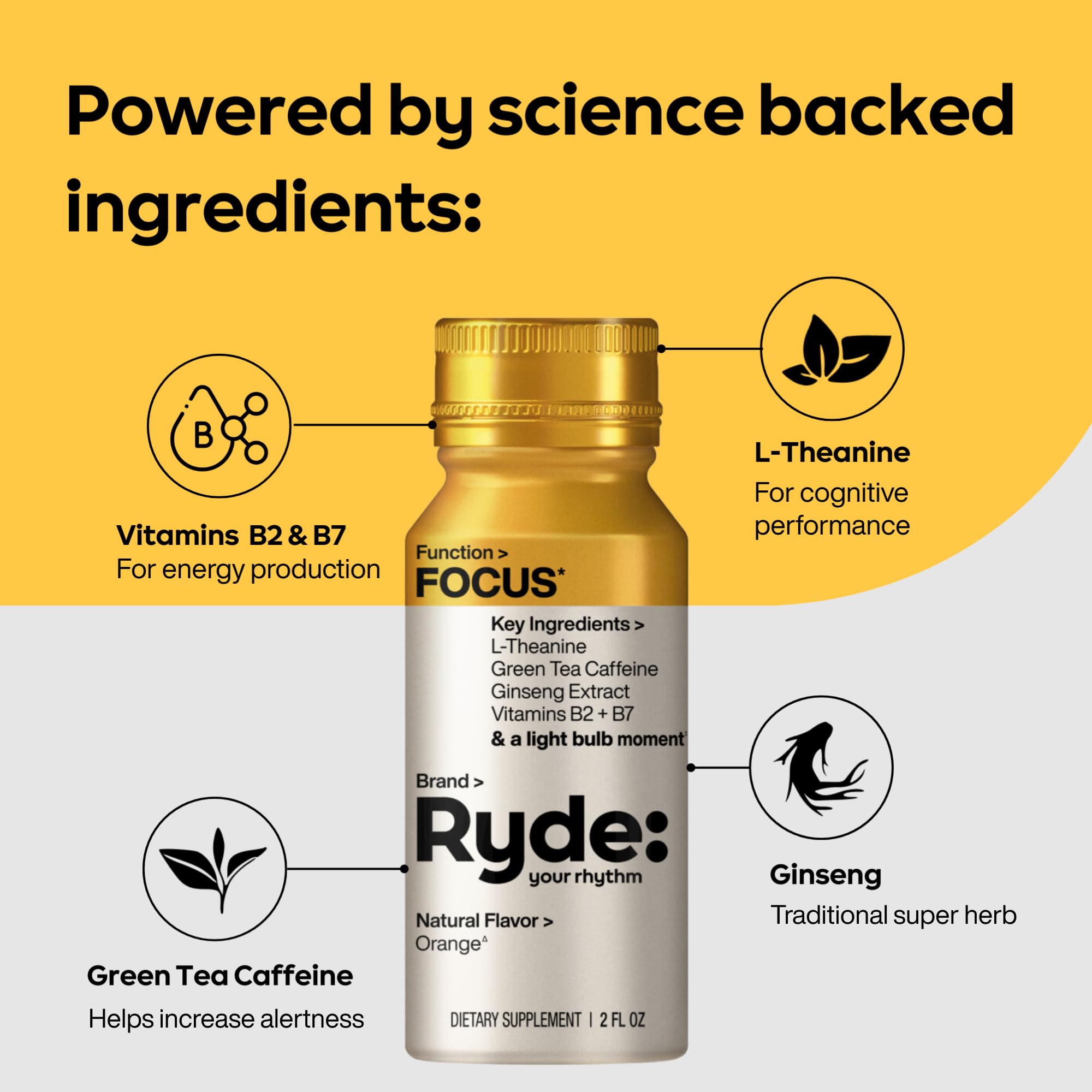 Ryde: Focus Shot | Orange Flavor | L-Theanine & Ginseng | Green Tea Caffeine | Vitamins B2 & B7 | 0 Calories, 0 Sugar | 2 FL OZ Shots | Supports Focus* (8 Pack) RYDEAu supplements