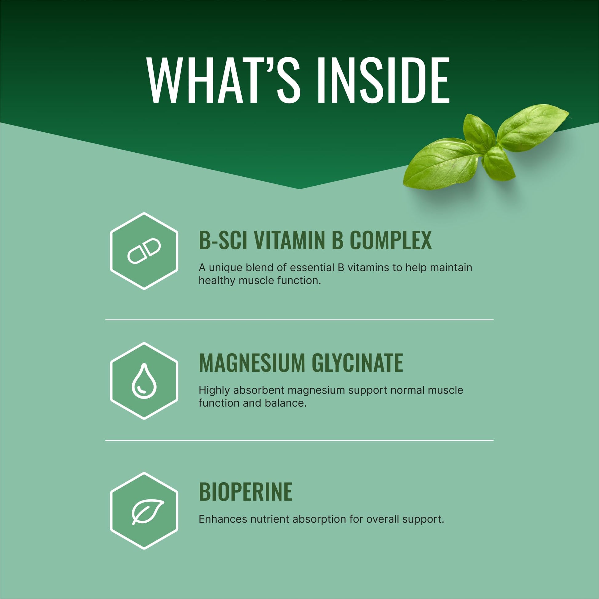 Approved Science Cramprin - High Absorption Magnesium, Vitamin B Complex, BioPerine - Muscle Cramps - 6 Month Supply - 2 Bottles - Vegan Approved ScienceAu supplements
