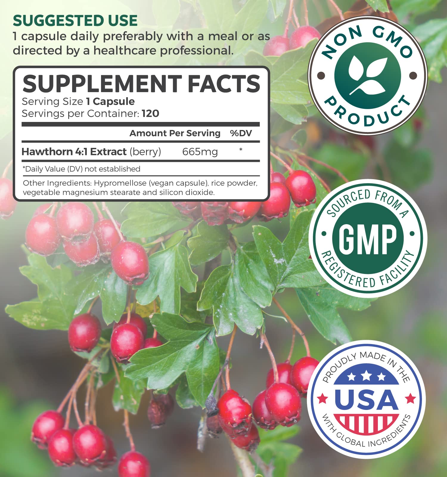 Hawthorn Berry Capsules - 4 Month Supply Digestion & Heart Health Supplement Healths HarmonyAu supplements