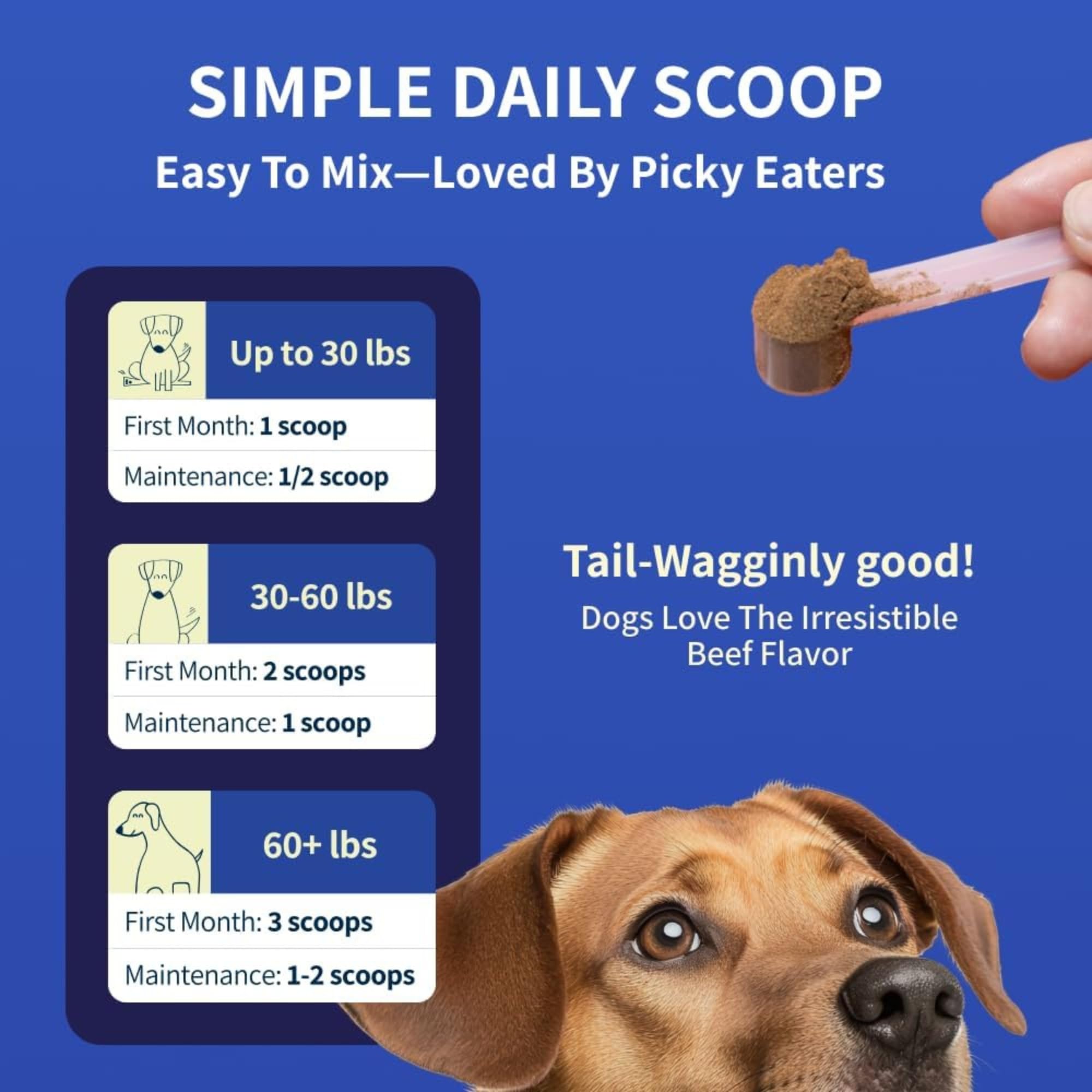 Fifth & Fido Joint Supplement for Dogs - Glucosamine for Dogs - Pet Vitamins and Supplements Powder with Chondroitin & MSM - Hip & Joint Support for Mobility, Stiffness & Flexibility - Mushroom Blend Fifth & FidoAu supplements