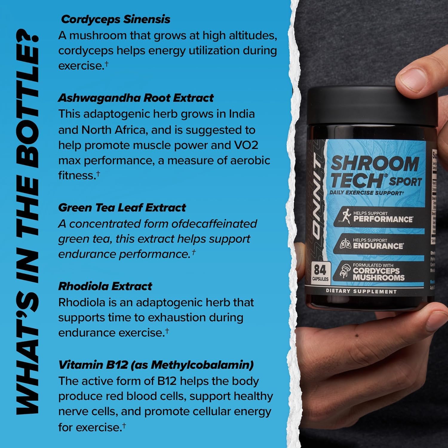 ONNIT Cognitive & Endurance Support Bundle: Alpha Brain Nootropic Capsules (30 Count) + Shroom Tech Sport Exercise Support Capsules (28 Count), IGEN Non-GMO Tested Focus, Energy & Endurance, 2 Pack ONNITAu supplements