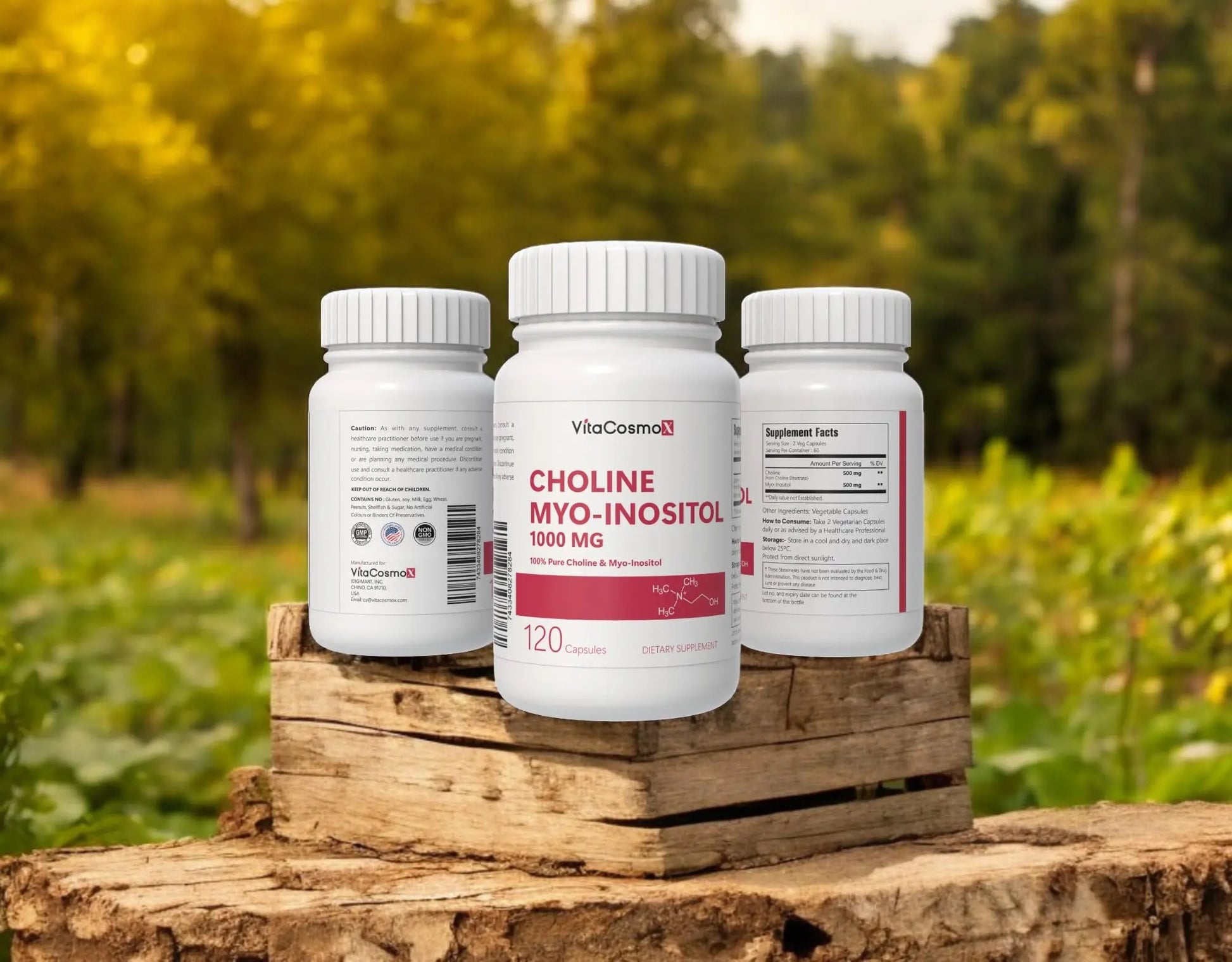 VitaCosmoX Choline and Myo-Inositol Supplement, 1000 mg Each, 120 Veggie Capsules 100% Vegetarian, Non-GMO & Gluten Free VitaCosmoXnz supplements