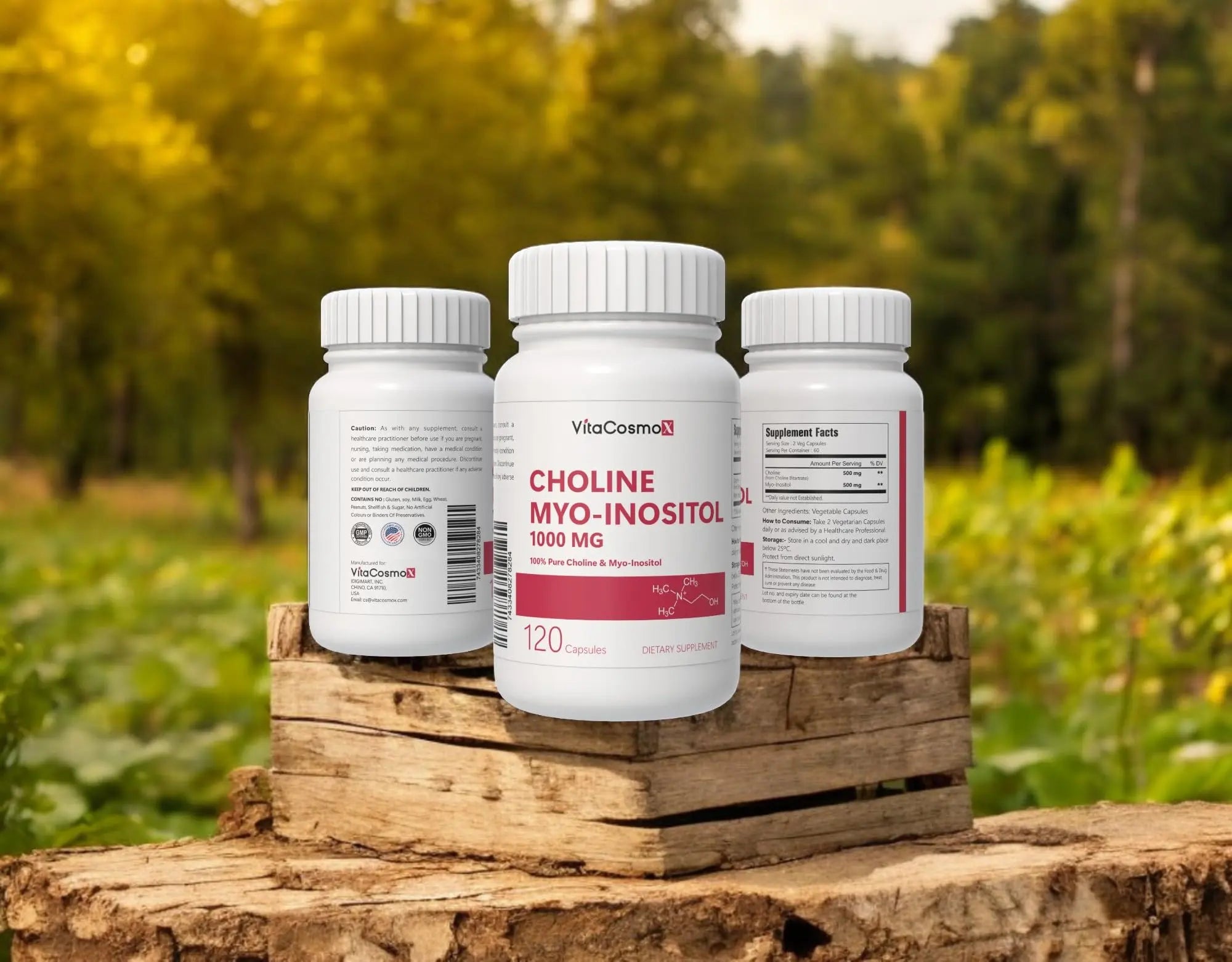 VitaCosmoX Choline and Myo-Inositol Supplement, 1000 mg Each, 120 Veggie Capsules 100% Vegetarian, Non-GMO & Gluten Free VitaCosmoXnz supplements