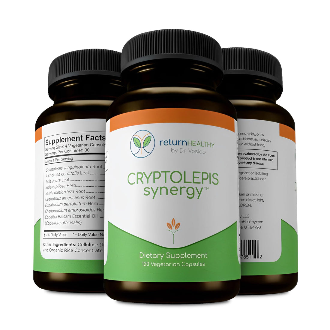 Return Healthy Cryptolepis Synergy, Immune Support Vitamins, Immune System Booster for Adults, Liver, Lymphatic, & Immune Support Supplement, Supports Lyme & Natural Parasite Defense, 120 Capsules Return HealthyAu supplements