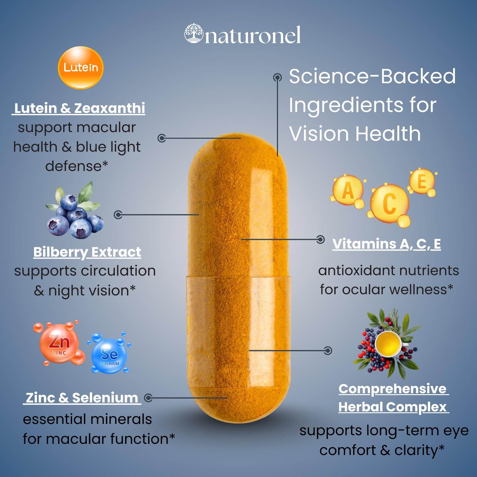 Naturonel Macular Support Formula – Vision & Eye Health with Lutein, Zeaxanthin, Bilberry, Eyebright & Antioxidants | Non-GMO, Made in USA, GMP Certified – 60 Capsules, 30 Day Supply (1) NaturonelAu supplements