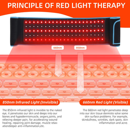 Red Light Therapy Belt, 660&850nm 3 -in-1 Big Chips Near Infrared Therapy Wrap for Body HEDYNSHINEUS supplements