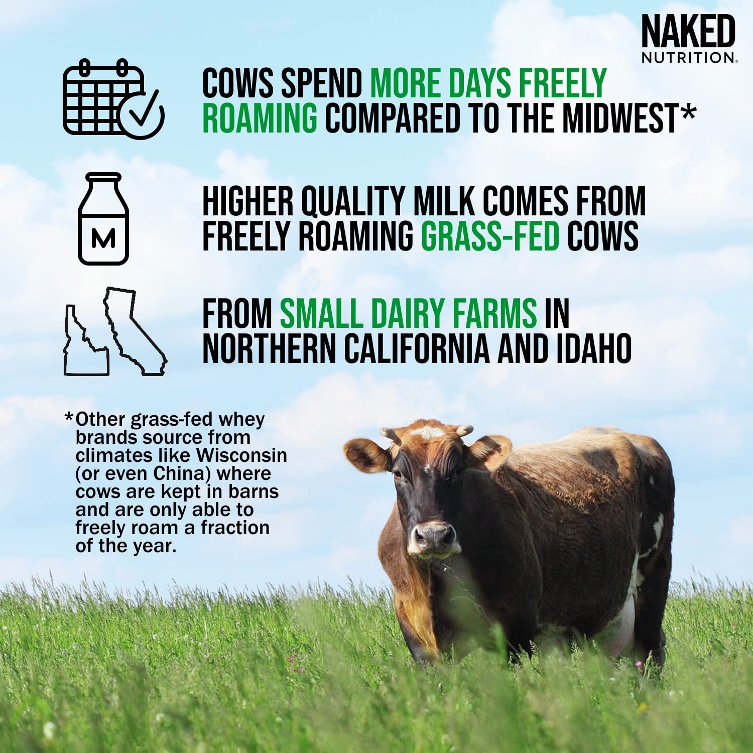 NAKED Nutrition Whey Vanilla Protein - All Natural Grass Fed Whey Protein Powder NAKEDUS supplements
