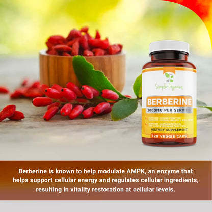 Simple-Organics Berberine 500mg (1000mg Per Serving) for Supports Healthy Immune Simple-OrganicsUS supplements