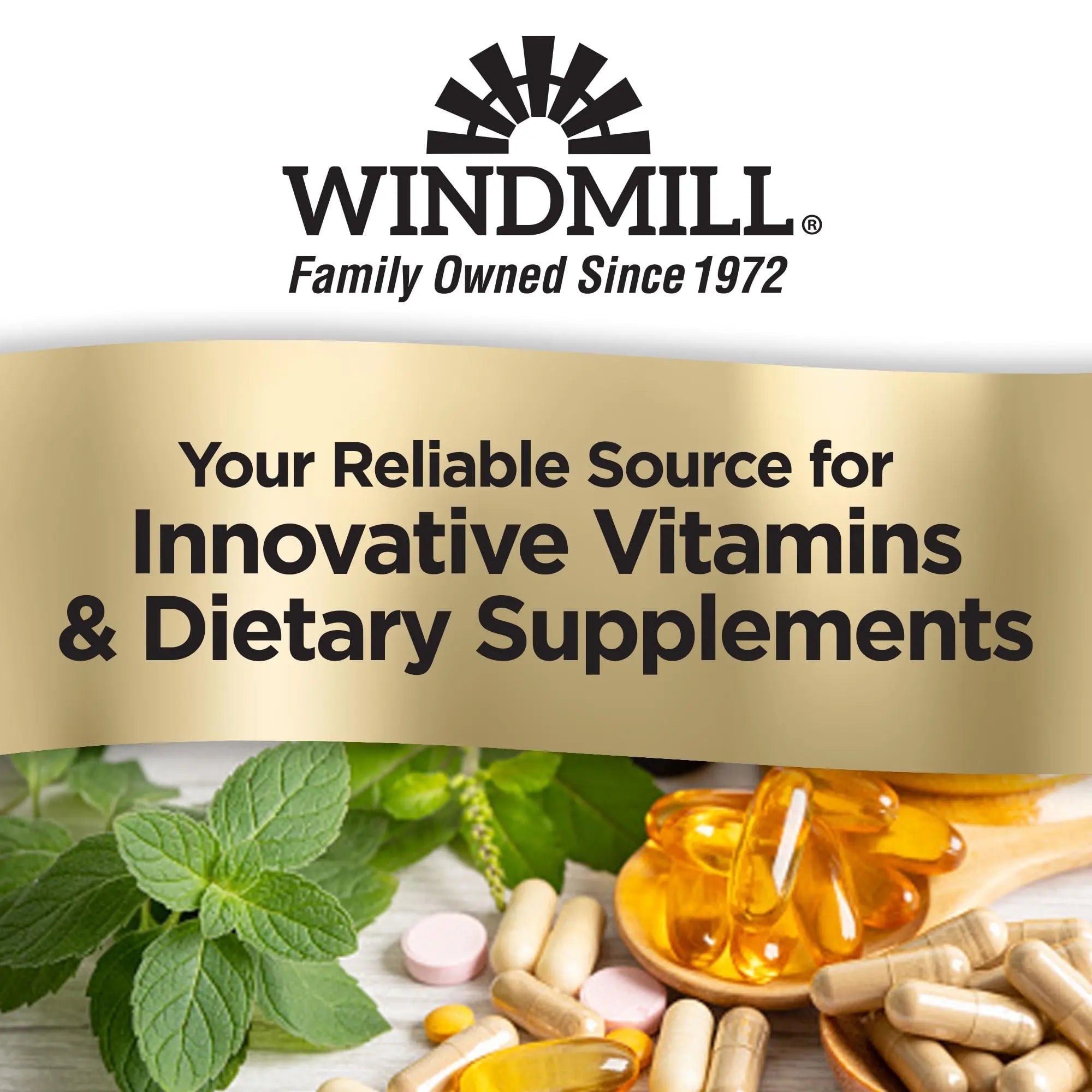 Windmill Natural Vitamins Men’s Multi 50+, with Vitamin D3, Mens Multivitamins for Daily Nutritional Support, Multivitamin for Men, 180 Tablet, 180 Day Supply WindmillAu supplements