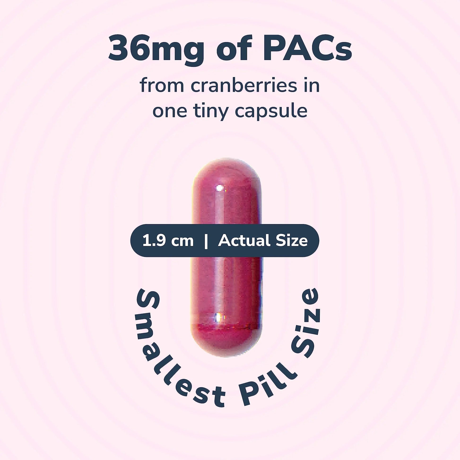 20% Bundle Utiva Cranberry PACs 30 Vegi Capsules Cranberry Supplement for Urinary Tract Health for Women and Men + Utiva D-Mannose 500mg 120 Capsules Naturally Flush The Bladder and Urinary Tract Szio+Au supplements