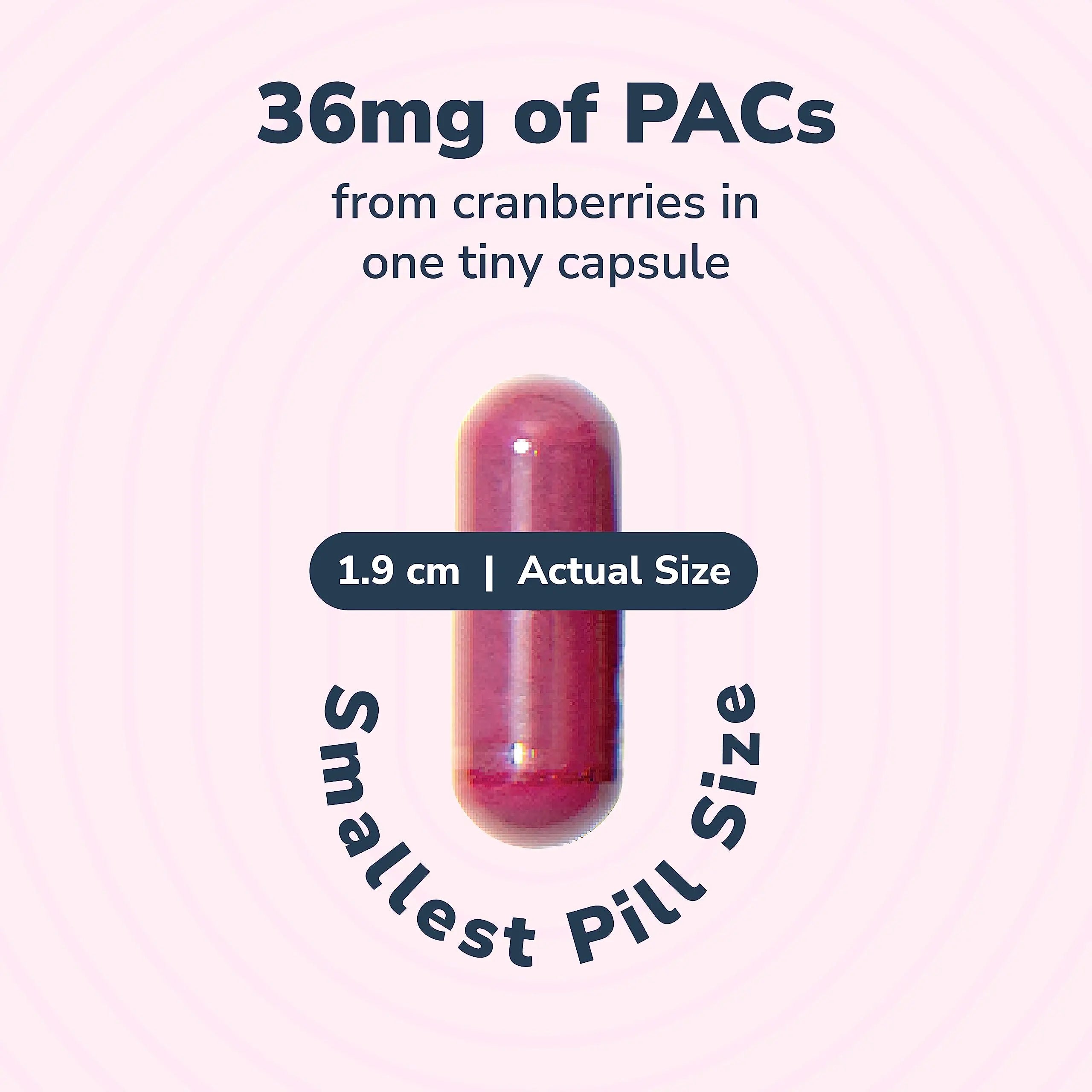 20% Bundle Utiva Cranberry PACs 30 Vegi Capsules Cranberry Supplement for Urinary Tract Health for Women and Men + Utiva D-Mannose 500mg 120 Capsules Naturally Flush The Bladder and Urinary Tract Szio+Au supplements