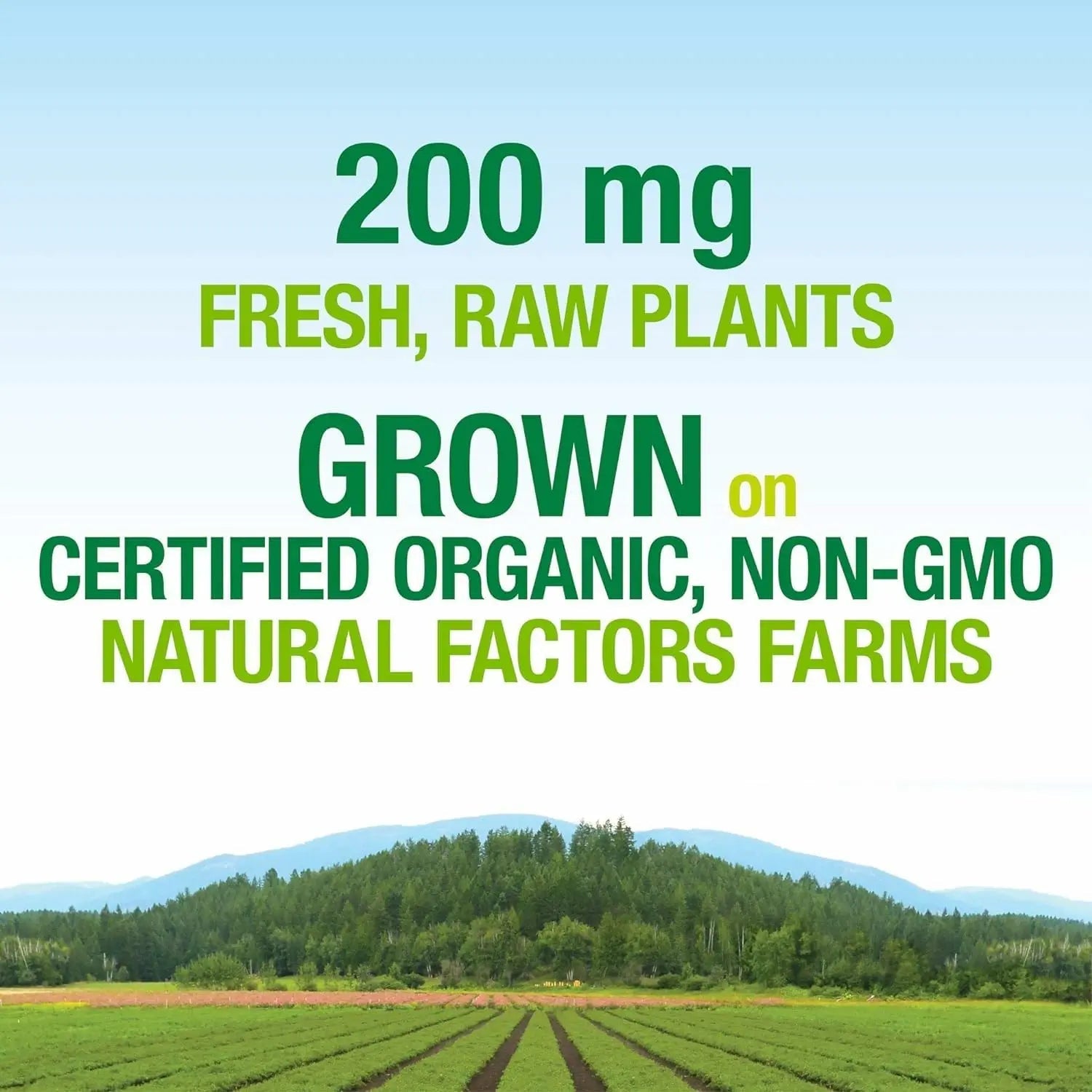 Natural Factors Whole Earth & Sea, Women's Prenatal Multivitamin and Mineral, Whole Food Supplement, Vegan, 120 Tablets Natural FactorsAu supplements