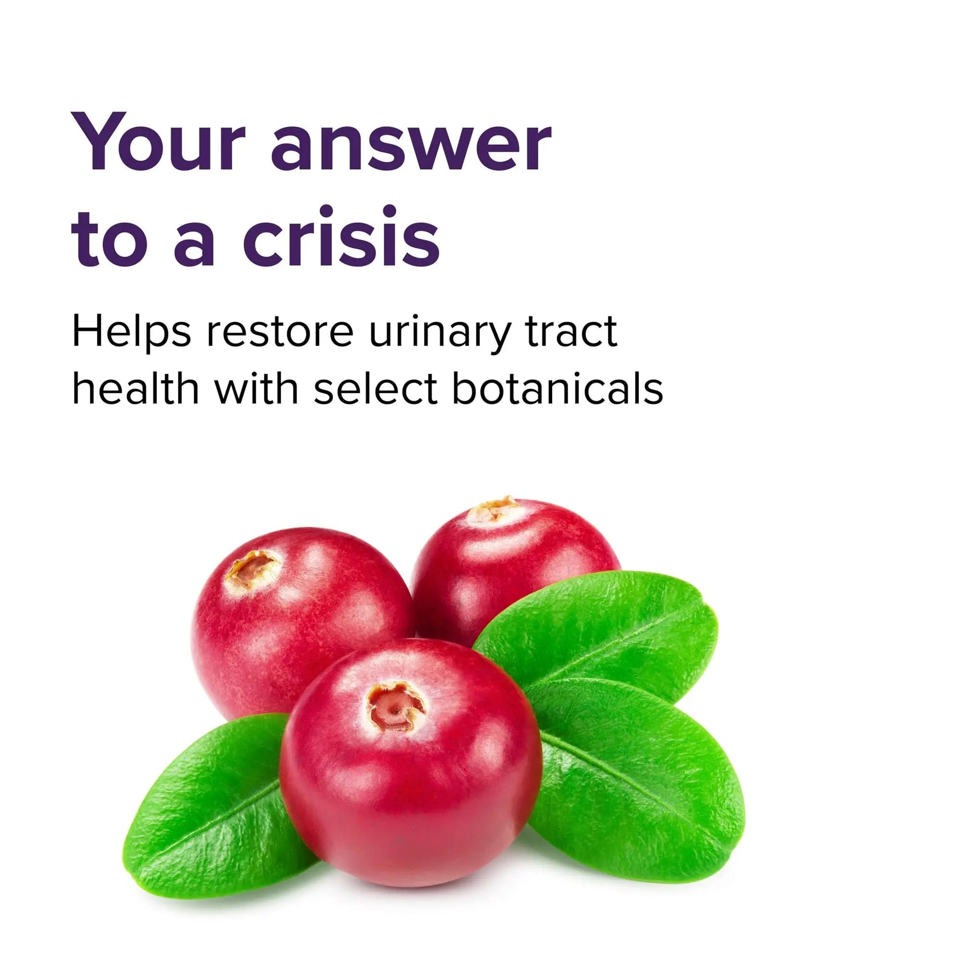 Vibrant Health, U.T. Vibrance Stick Packs, Crisis Intervention for Urinary Tract Health, 10 Servings Vibrant HealthAu supplements