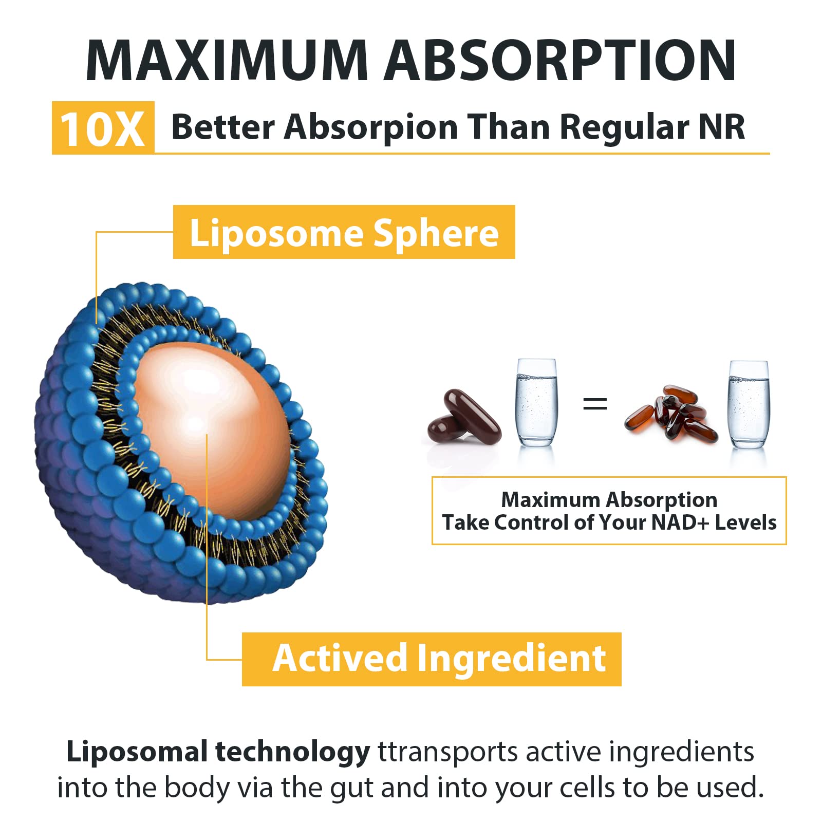 Liposomal Nicotinamide Riboside 2000 MG with TMG and Pterostilbene, Similar to NMN Supplements Boost NAD+, Support Healthy Aging, 240 Count OrgabayAu supplements