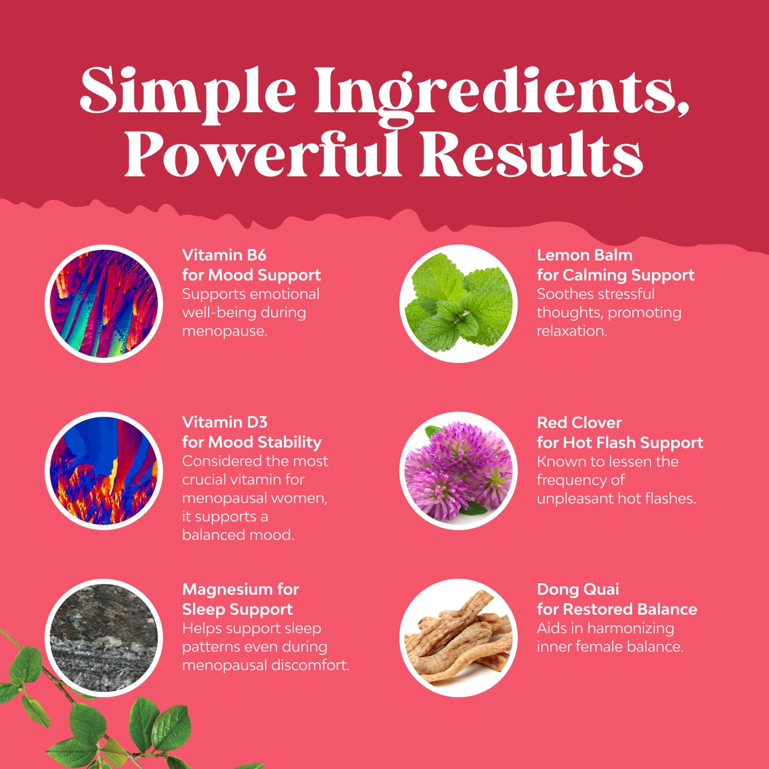 Complete Herbal Menopause Supplement for Women - Multibenefit Menopause Ease Hormone Balance for Women for Night Sweats Mood and More with Dong Quai Vitex Chaste Berry and Black Cohosh - 90 Count Natures CraftAu supplements