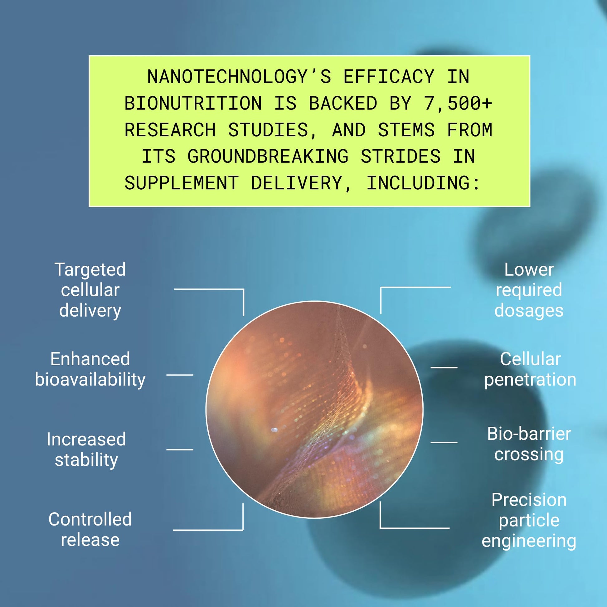 Essential Brain Health Supplements Nootropic for Memory and Focus – for Adults with NanoCap® Technology, Phosphatidylserine, Bacopa, Ginkgo Biloba, Omega 3, B6, B12, 60 Softgels by Greedy® Nutrition Platinum HealthAu supplements