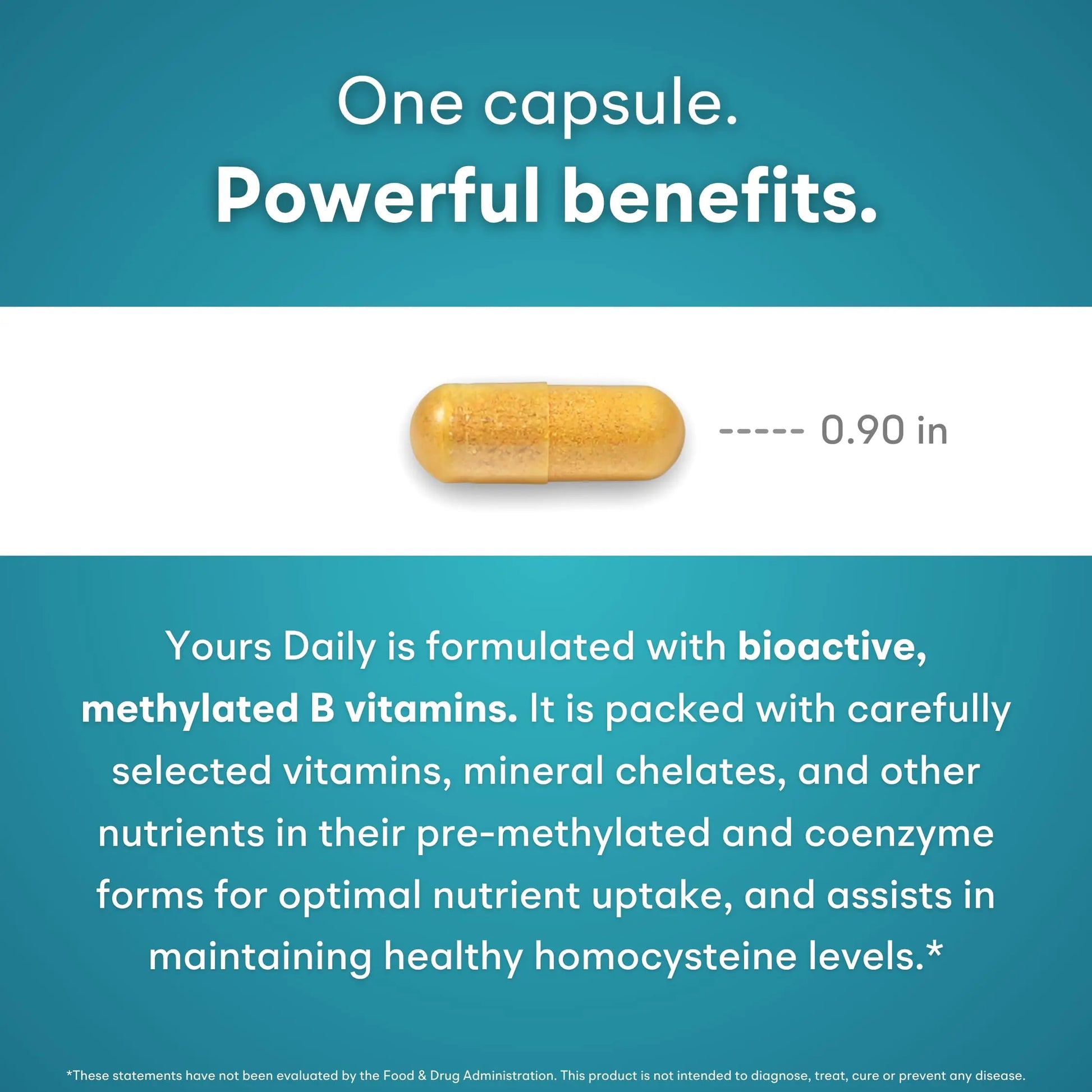 You Vites - Methylated Multivitamin for Men and Women, Methyl Multi Without Iron - 60 Capsules, MTHFR Supplement with Methyl B12, Methylfolate (5-MTHF), CoQ10 for Energy, Heart and Mood Support You Vitesnz supplements