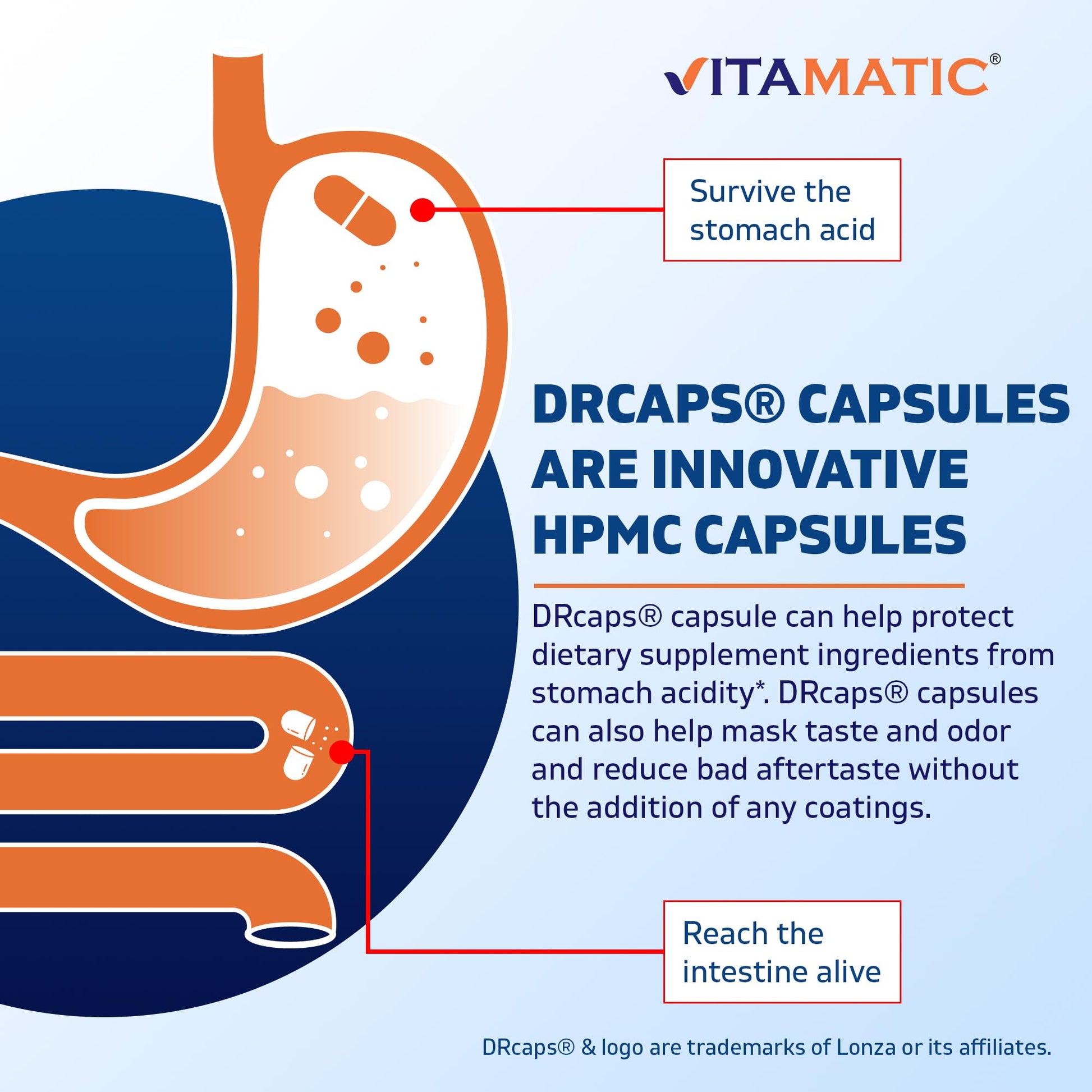 Vitamatic Lactobacillus Salivarius 2 Billion per DR Capsule - 60 Count - Digestive Support VitamaticUS supplements