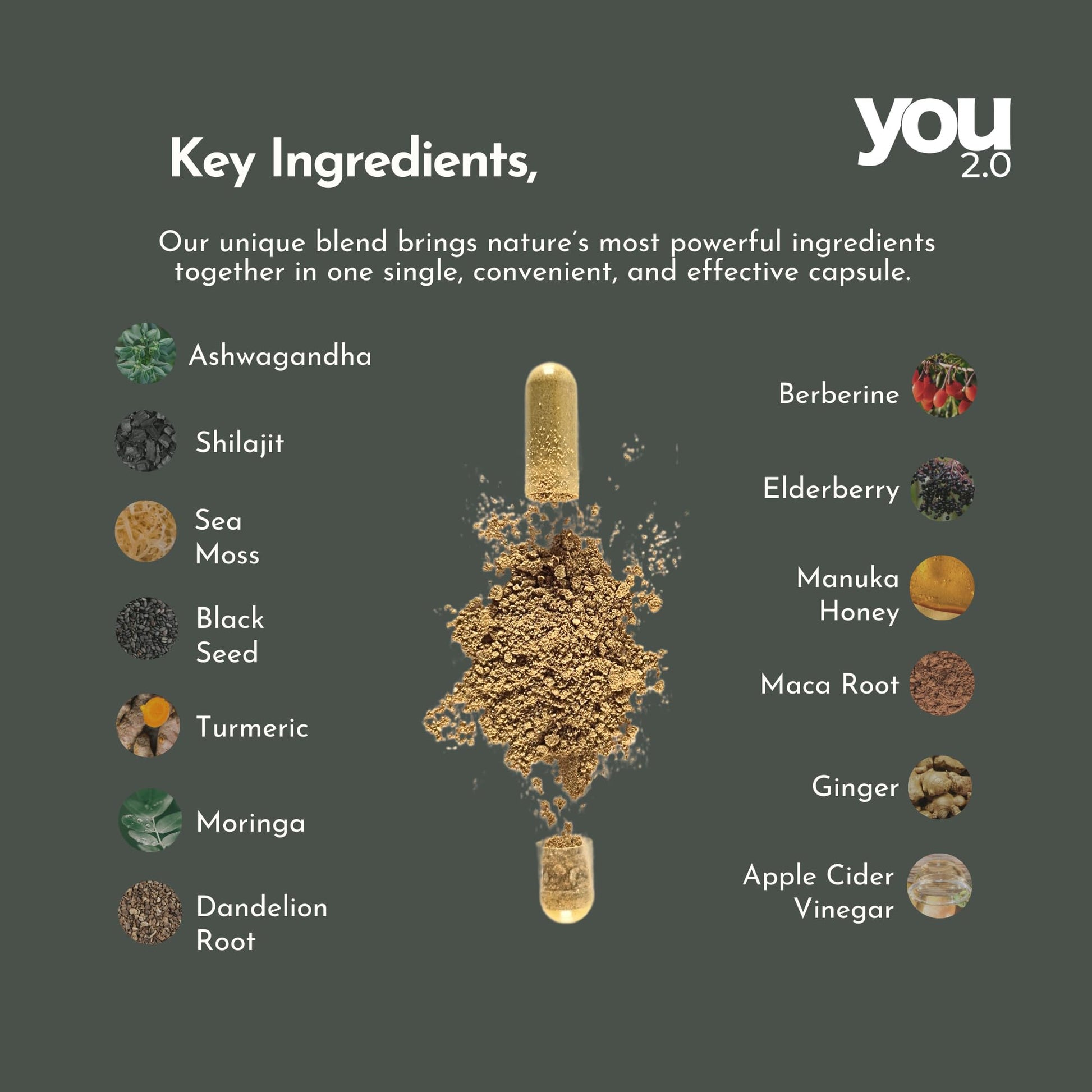YOU 2.0 Powerhouse Superfood with Seamoss, Shilajit, Ashwagandha, Berberine, Maca, Black Seed Oil, Turmeric, Vitamin C, D, B12, K2 - Moringa, Apple Cider, Made in USA for Overall Health & Immunity YOU 2.0Au supplements