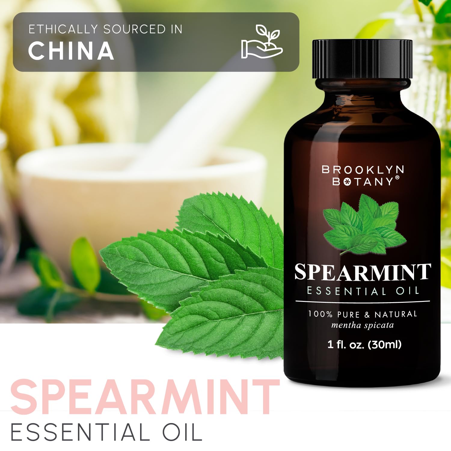 Brooklyn Botany Spearmint Essential Oil – 100% Pure and Natural – Premium Grade Oil Brooklyn BotanyAu supplements