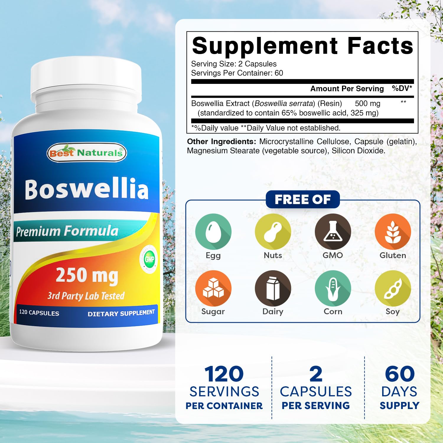 Best Naturals Boswellia Serrata Joint Health 250 mg 120 Capsules - Standardized to 65% Boswellic Acid (120 Count (Pack of 3)) Best NaturalsAu supplements