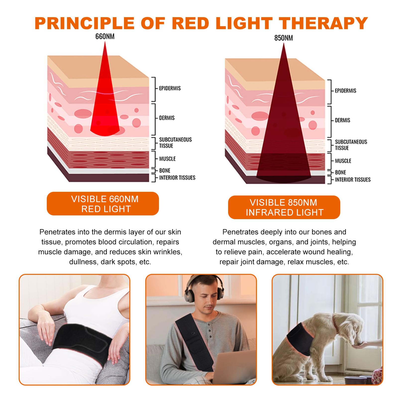 EquiZen Red Light Therapy Belt - Red Light Therapy for Body, Infrared Light Therapy Device EquiZenAu supplements