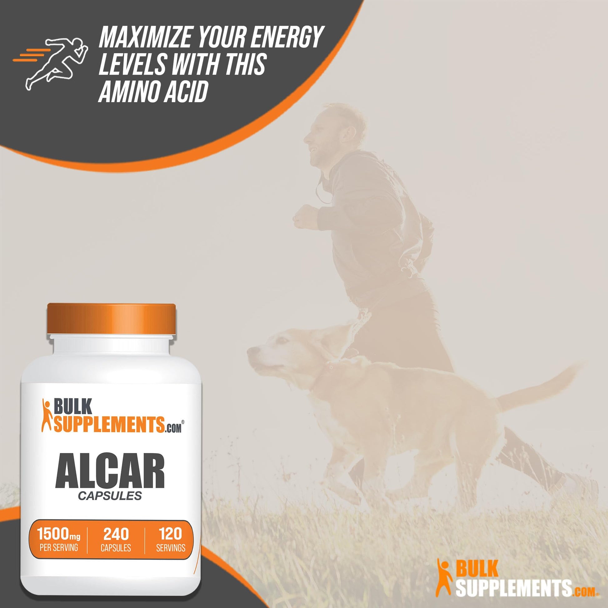 BULKSUPPLEMENTS.COM Acetyl L-Carnitine Capsules - ALCAR HCl, Carnitine Supplement BULKSUPPLEMENTS.COMAu supplements