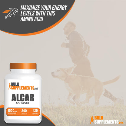 BULKSUPPLEMENTS.COM Acetyl L-Carnitine Capsules - ALCAR HCl, Carnitine Supplement BULKSUPPLEMENTS.COMUS supplements