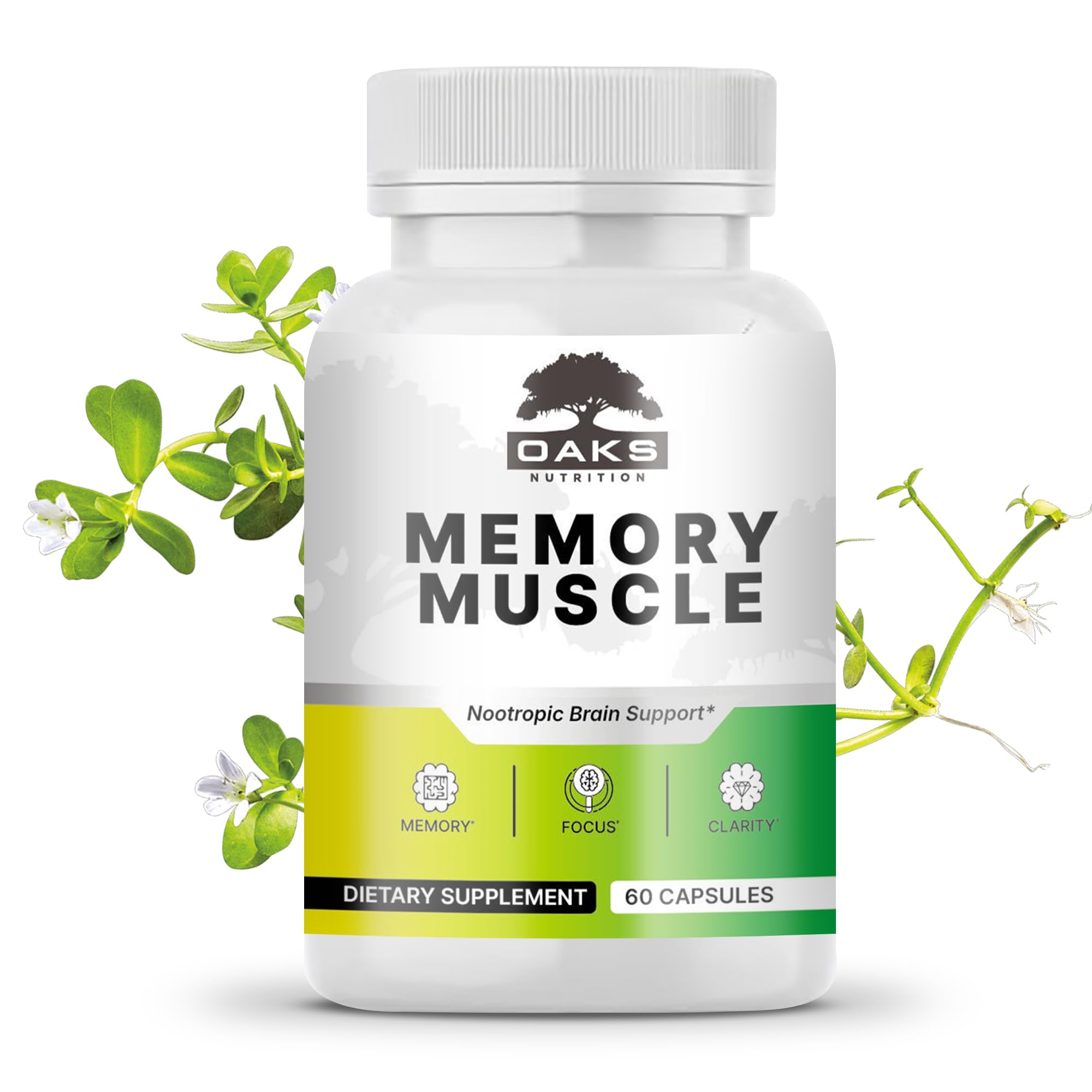Memory Muscle – Advanced Nootropic Brain Supplement with Vitamin B12, Bacopa Monnieri & DMAE for Focus, Memory, Mental Clarity & Clean Energy – Premium Cognitive Support Formula Oaks NutritionAu supplements