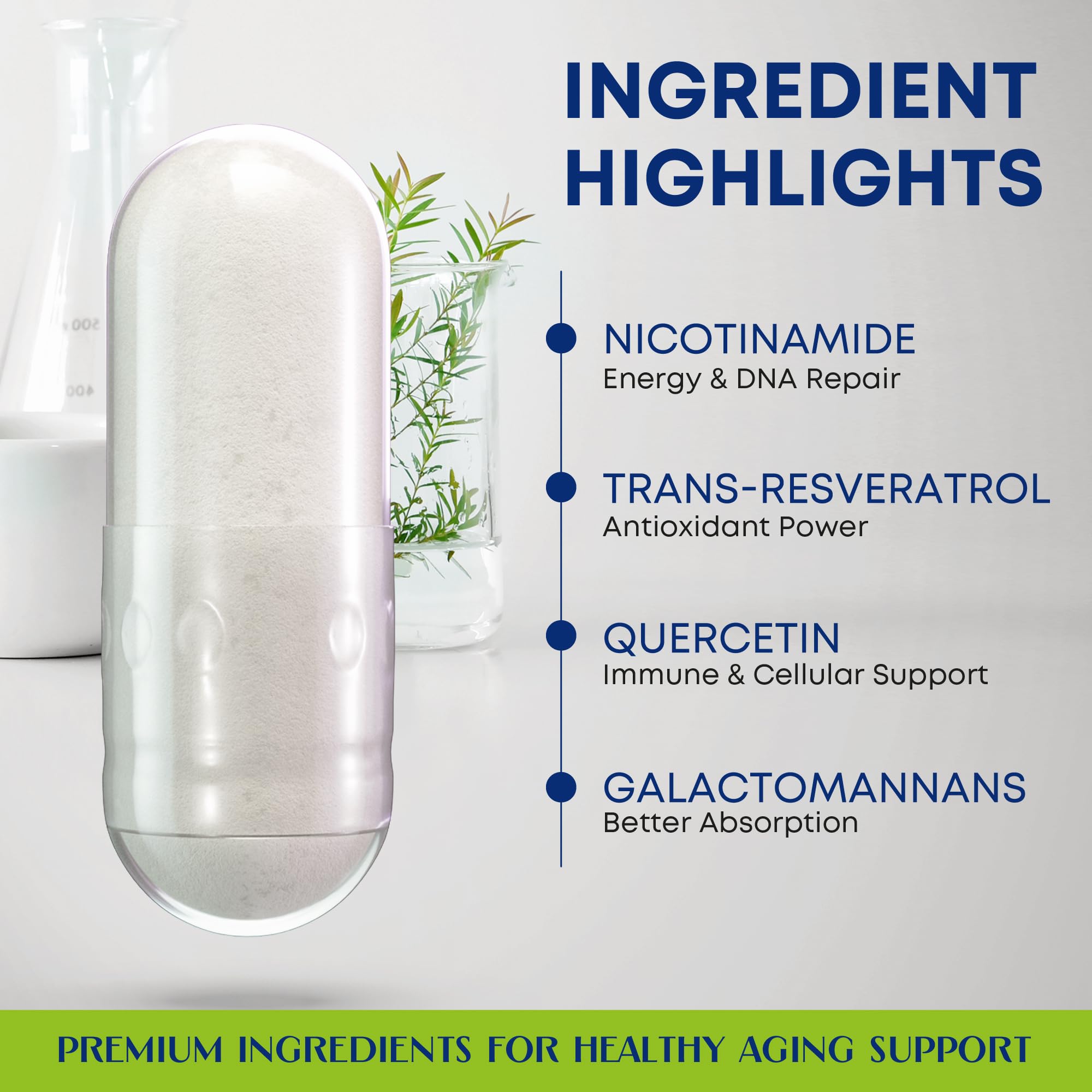 NAD+ Supplement with Nicotinamide Riboside, Trans Resveratrol & Quercetin – NAD Plus Complex for Energy, Brain & Mitochondrial Support – Antioxidant and Longevity Formula for Women & Men – 60 capsules WHISPERWOODAu supplements