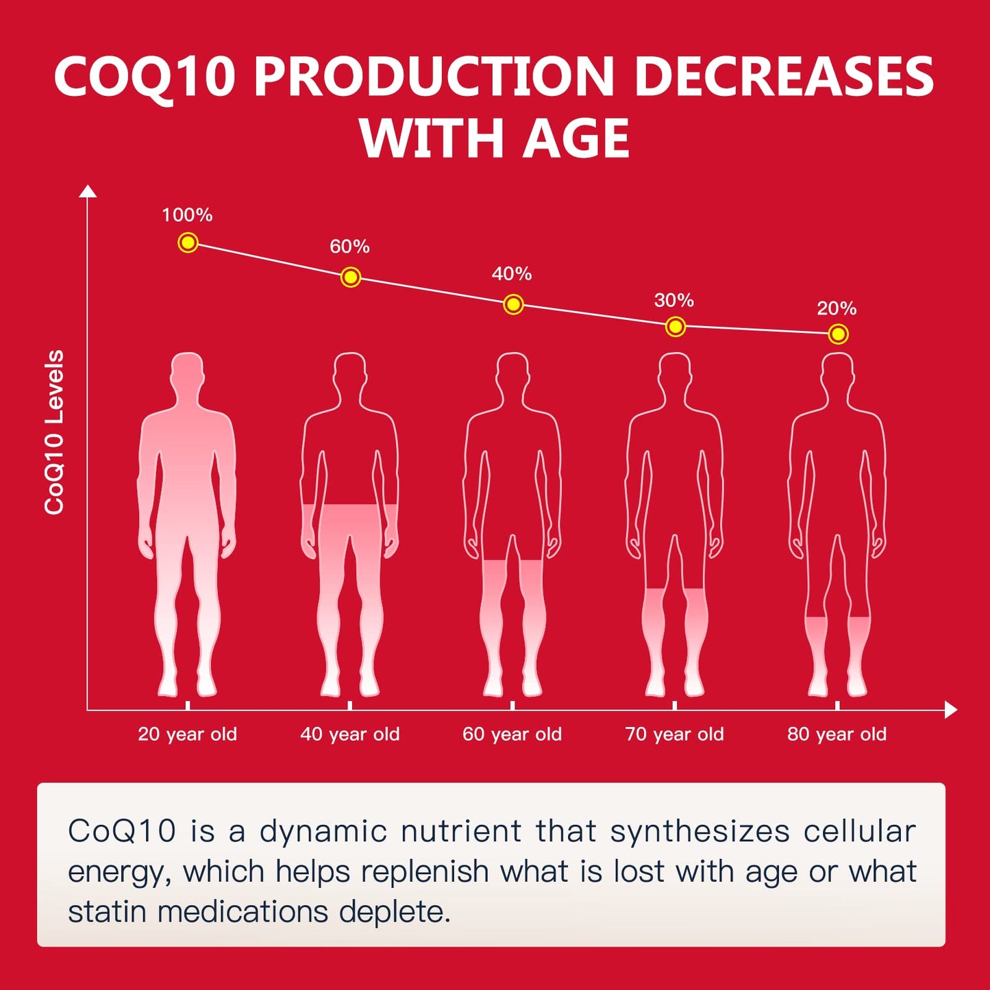 NATURE TARGET CoQ10-300mg-Softgels + PQQ with Organic-Olive-Oil - High Absorption NATURE TARGETUS supplements