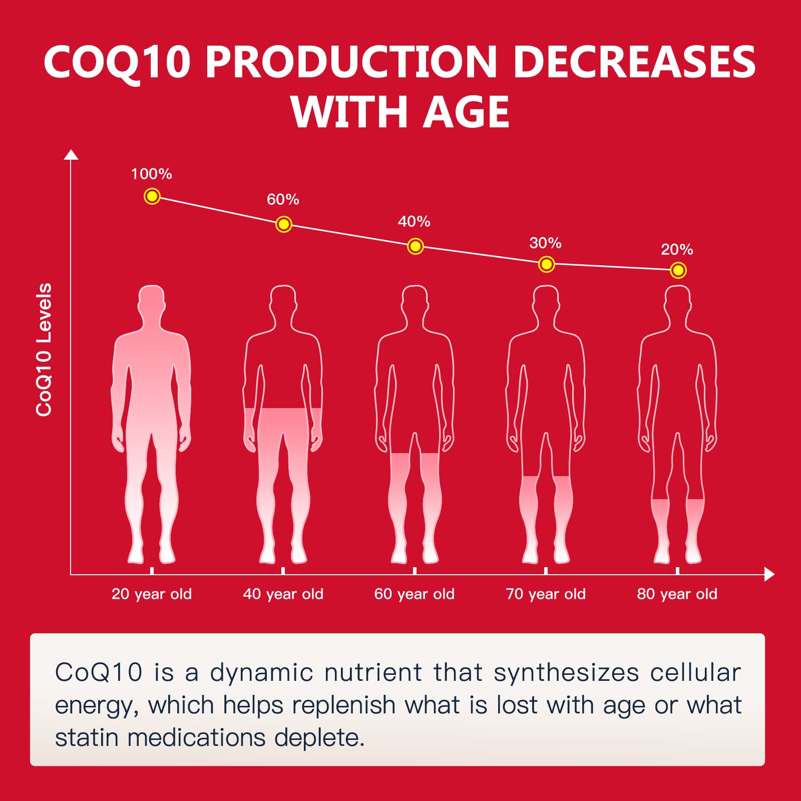 NATURE TARGET CoQ10-300mg-Softgels + PQQ with Organic-Olive-Oil - High Absorption NATURE TARGETUS supplements