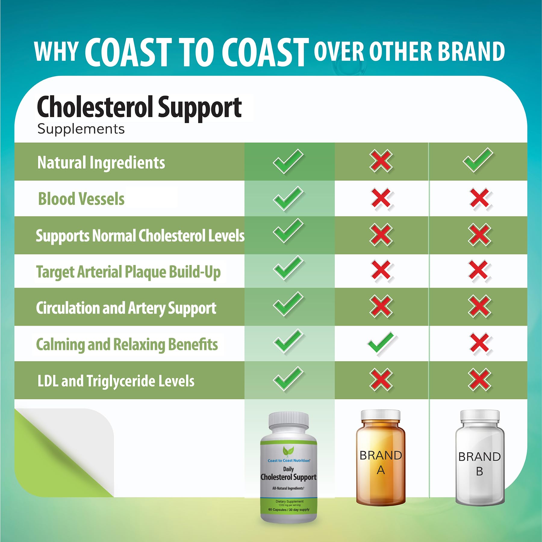 Coast to Coast Nutrition Cholesterol Support Supplement - Support Cardiovascular & Artery Performance, Target Bad LDL Levels & Plaque Calcium Buld-Up - Promote Circulation & Blood Flow - 60 Capsules Coast to Coast NutritionAu supplements