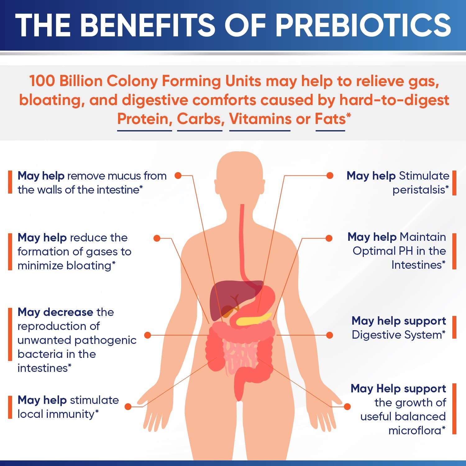 Organic Probiotics 100 Billion CFU, Dr Formulated Probiotics for Women, Probiotics Wholesome WellnessAu supplements