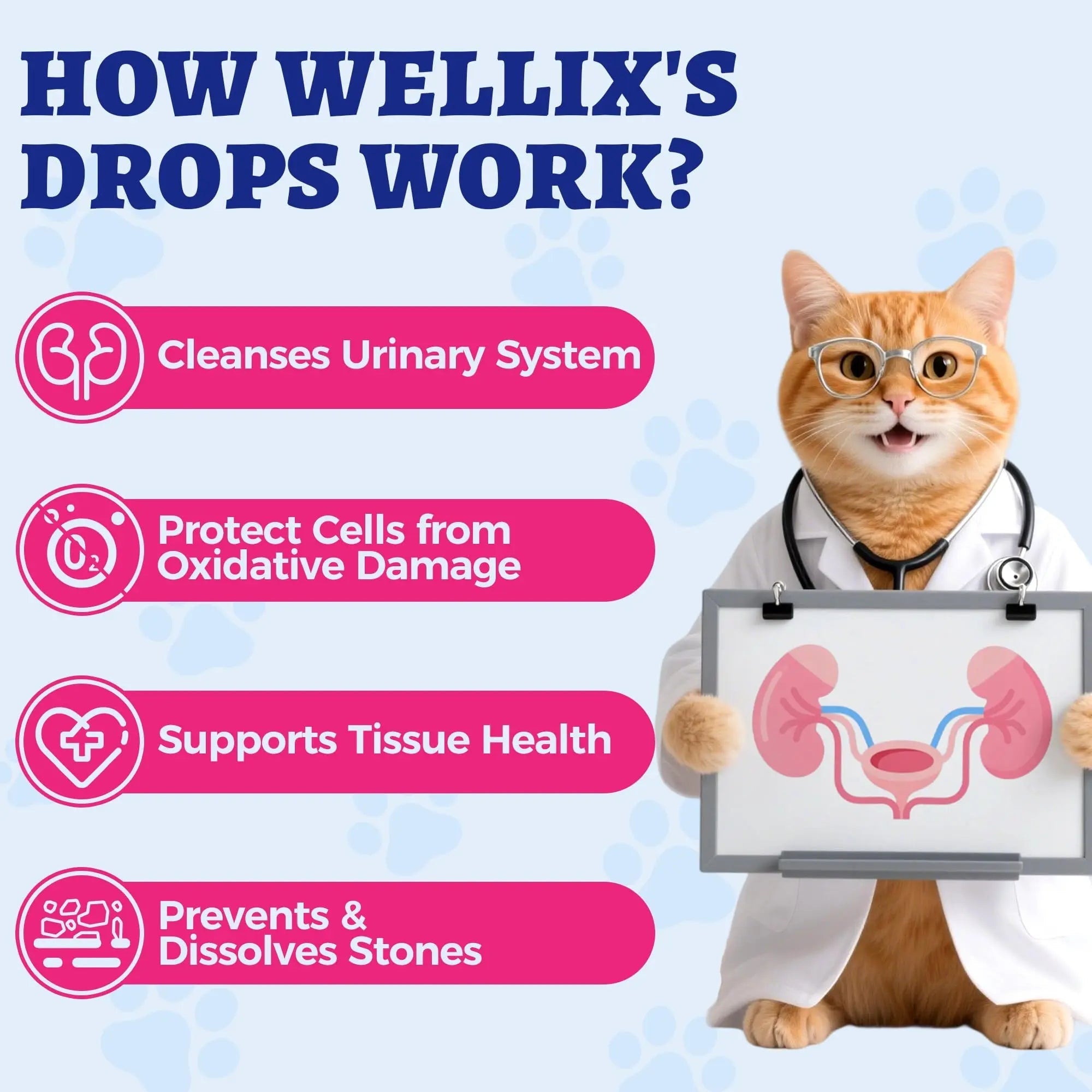 4oz Wellix Natural Cat & Dog UTI Treatment Drops,Cat & Dog Urinary Tract Infection Treatment - Cranberry & D-Mannose for Dogs & Cats - Kidney Health Supplement WellixAu supplements