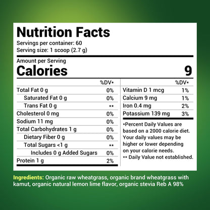Dr. Berg's Raw Wheatgrass Juice Powder (60 Servings) - USDA Certified Organic Dr. Berg NutritionalsUS supplements