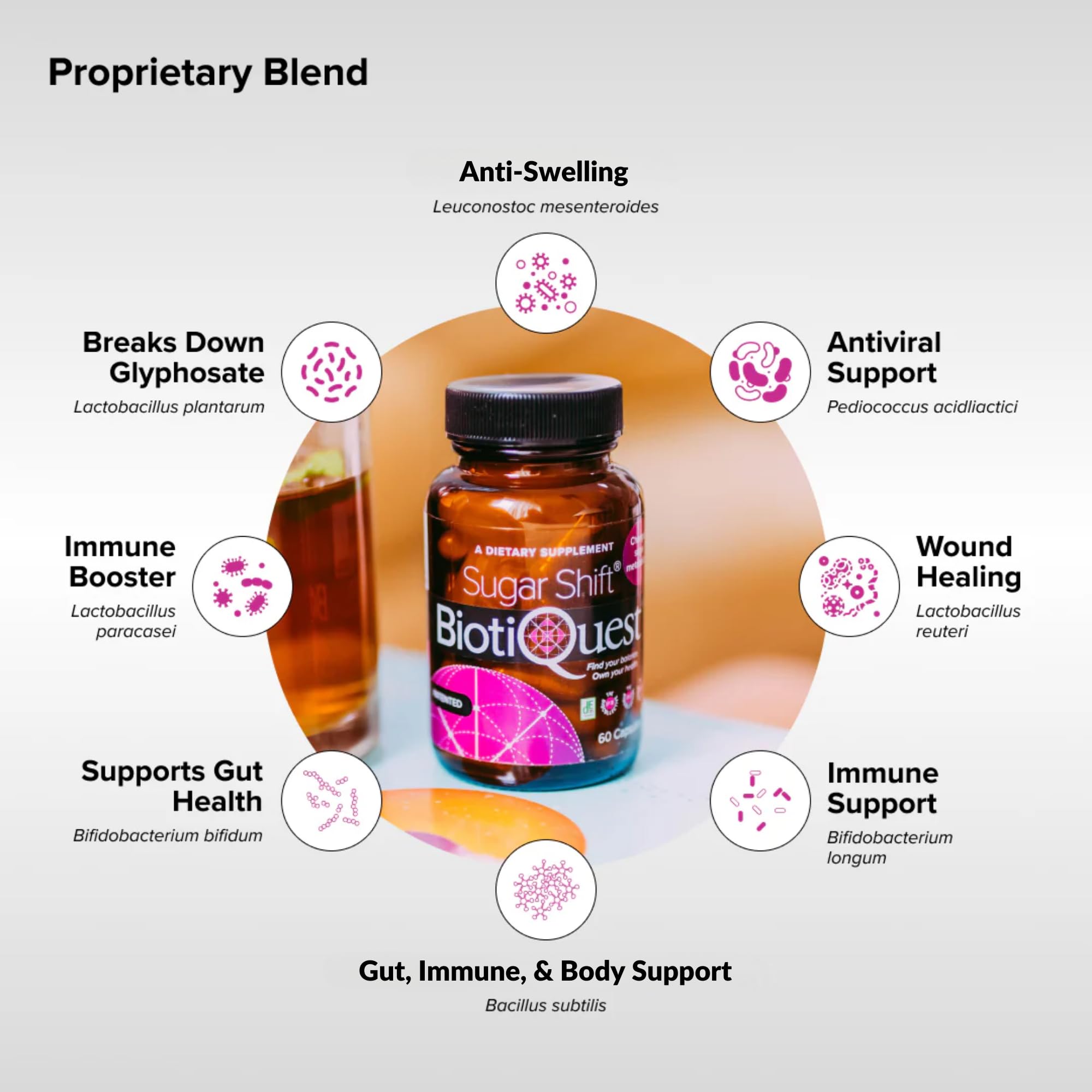 BiotiQuest Sugar Shift Probiotic | Helps Decrease Sugar & Carb Cravings and Supports Digestive Balance | 22 Billion CFU | Non-GMO, Gluten-Free, & Vegan | 60 Servings BiotiQuestAu supplements