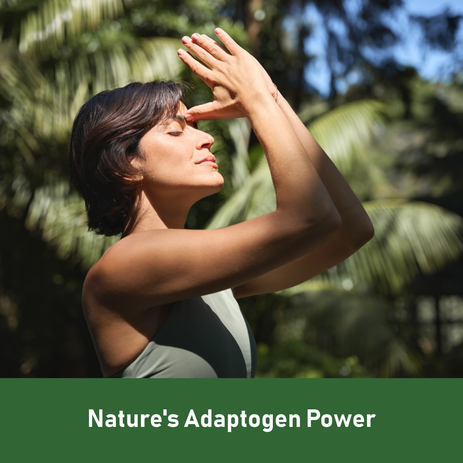 GlowEver KSM-66 Ashwagandha Supplements with L-Theanine Moringa Organic Mushrooms Complex Ginseng Ginkgo Biloba - Mood & Energy Support, Cortisol Manager, Immune Support, 60 Vegan Capsules GlowEverAu supplements