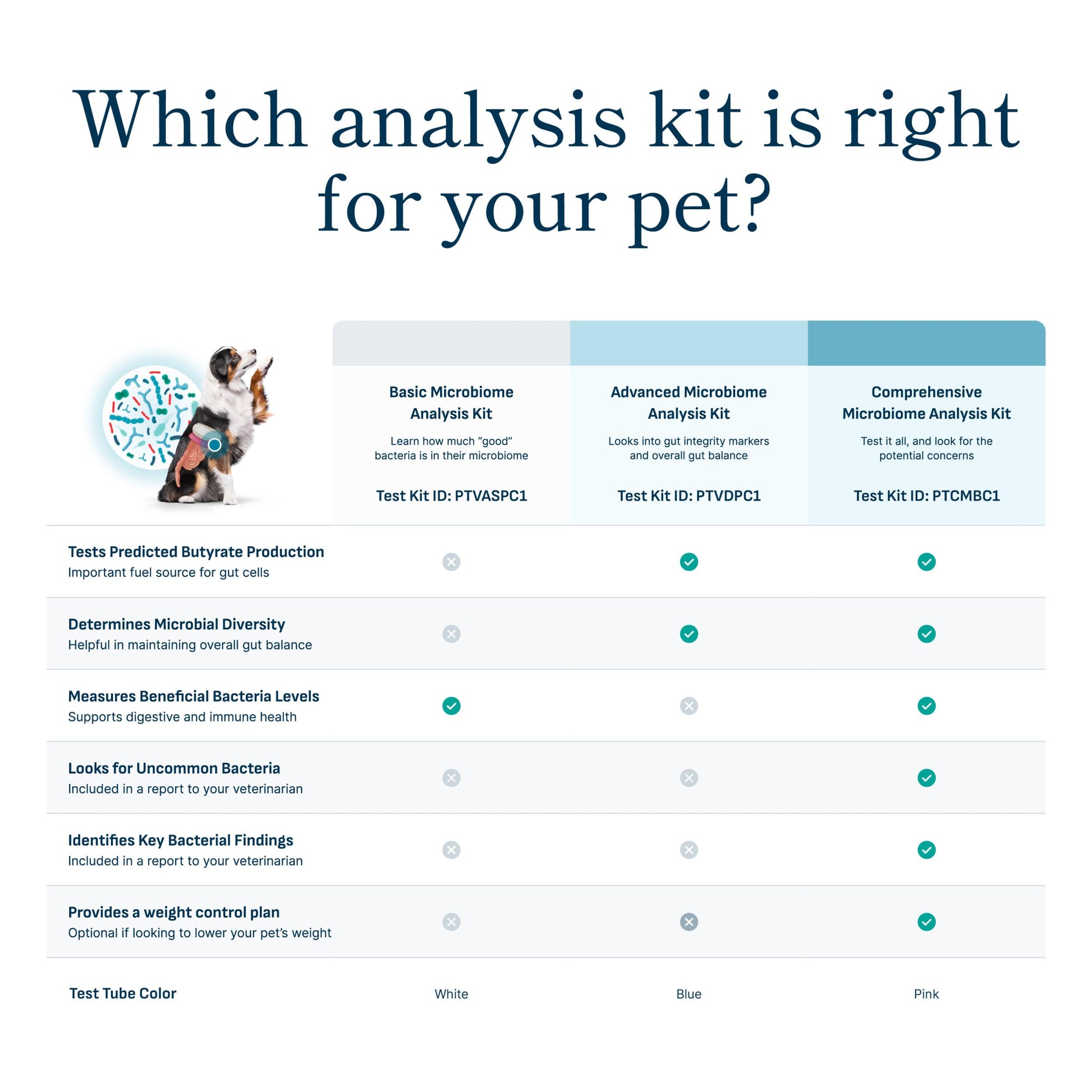 Petivity Microbiome Analysis Kit — Basic for Cats and Dogs, Powered by Purina - 4.8 oz. Box petivityAu supplements
