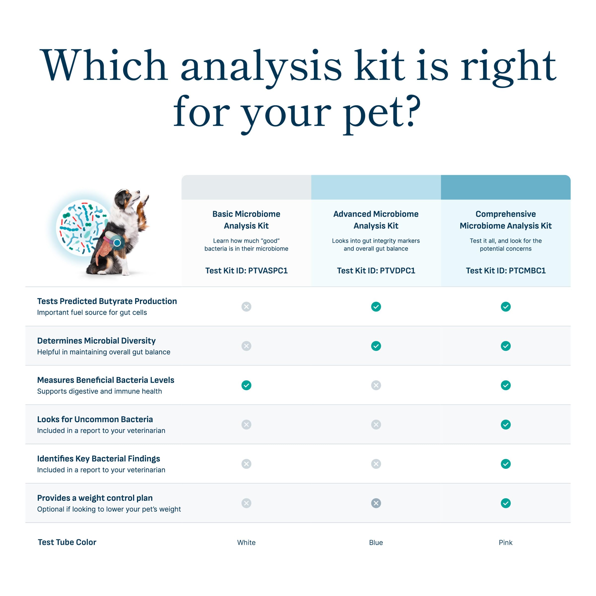 Petivity Microbiome Analysis Kit — Basic for Cats and Dogs, Powered by Purina - 4.8 oz. Box petivityAu supplements