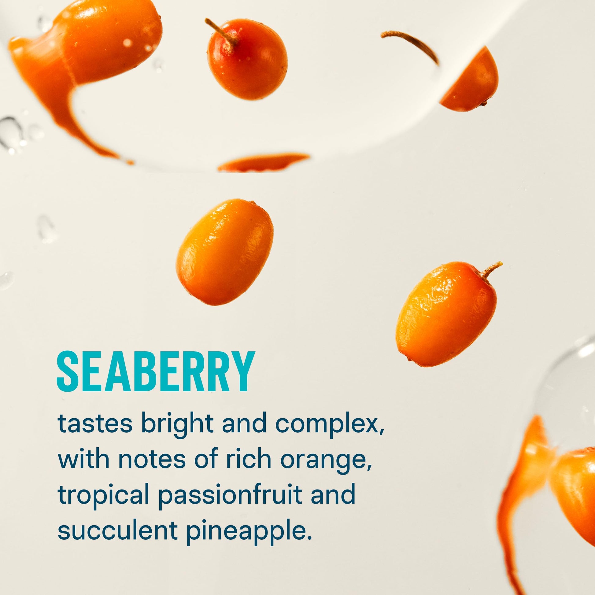Liquid I.V.® Hydration Multiplier - Seaberry | Electrolyte Powder Drink Mix | 1 Pack (16 Servings) Liquid I.V.US supplements