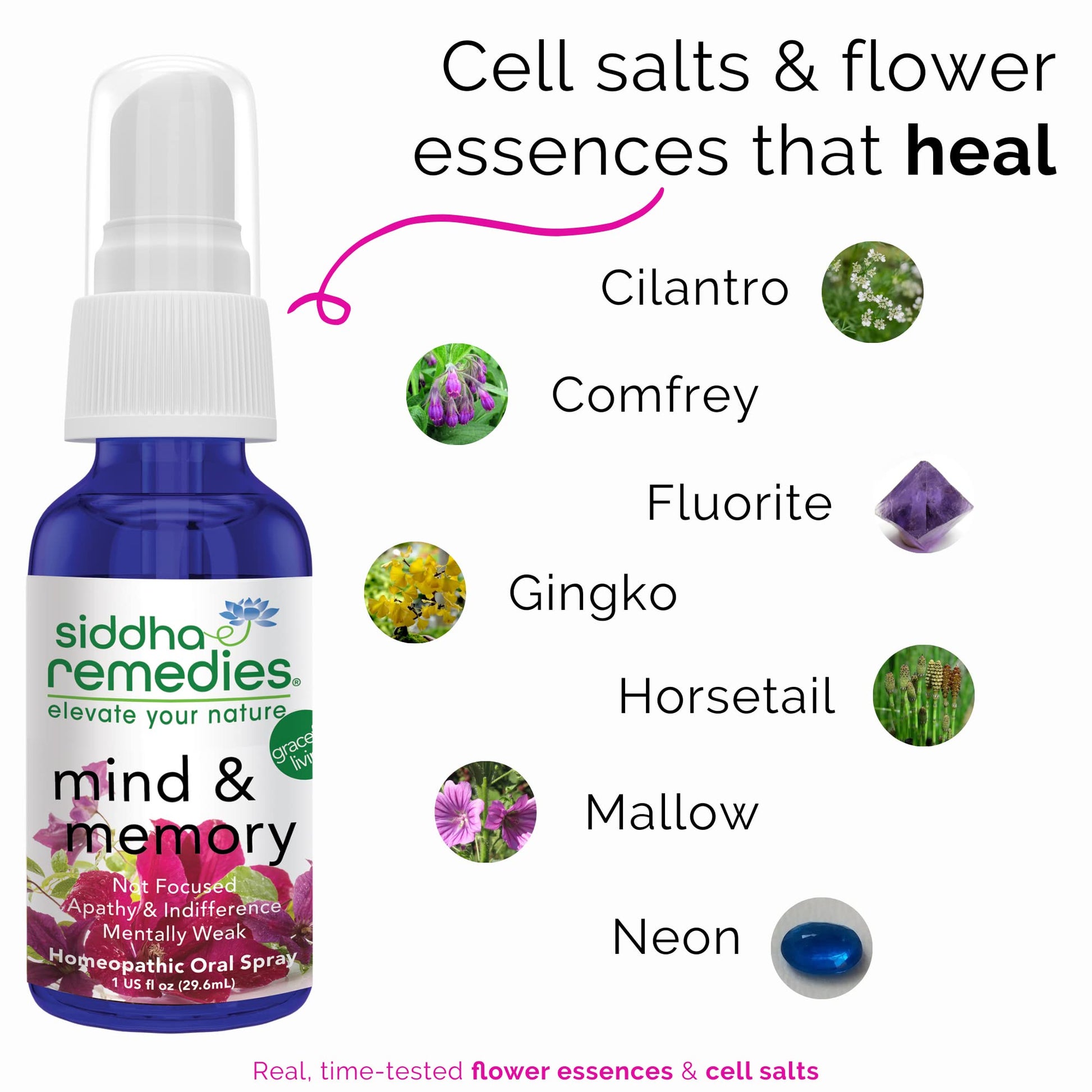 Siddha Remedies Mind & Memory Spray for Apathy, Indifference & Low Focus SiddhaAu supplements