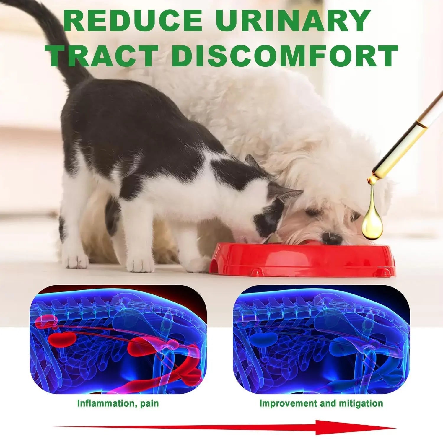 Urinary Tract for Cats, Cat & Dog Urinary Tract Drops Infection Remedy with Cranberry Dog Supplements, Cranberry Kidney Bladder Support Supplement - 60ml / 2 Fl.oz JoanofArcAu supplements