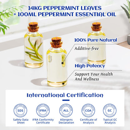 HIQILI Peppermint Oil 100ML, 100% Pure Peppermint Essential Oil Natural for Diffuser HIQILIUS supplements