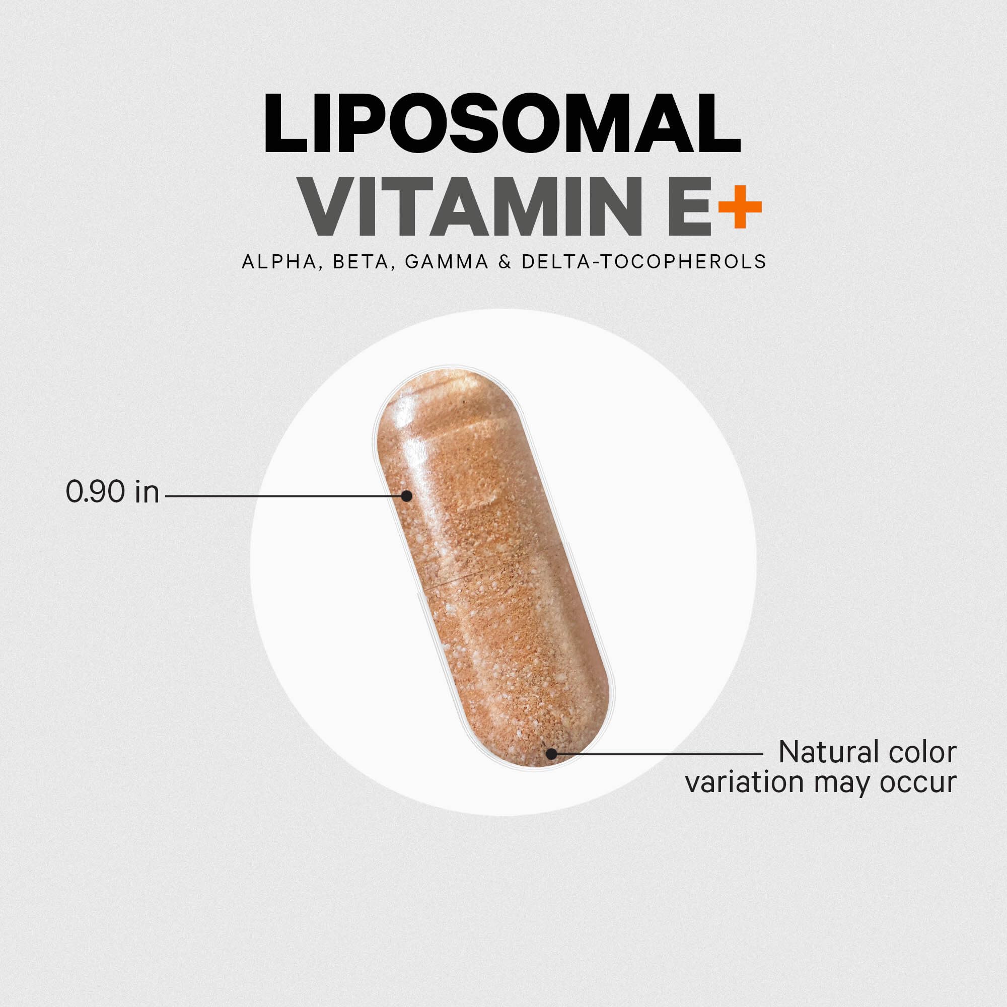Codeage Liposomal Vitamin E Supplement - All Vitamin E Tocopherols - 3-Month Supply - Alpha Tocopherols, Beta, Gamma, and Delta - Liposomal Mixed Tocopherols - Non-GMO Phospholipid - 90 Capsules CodeageAu supplements