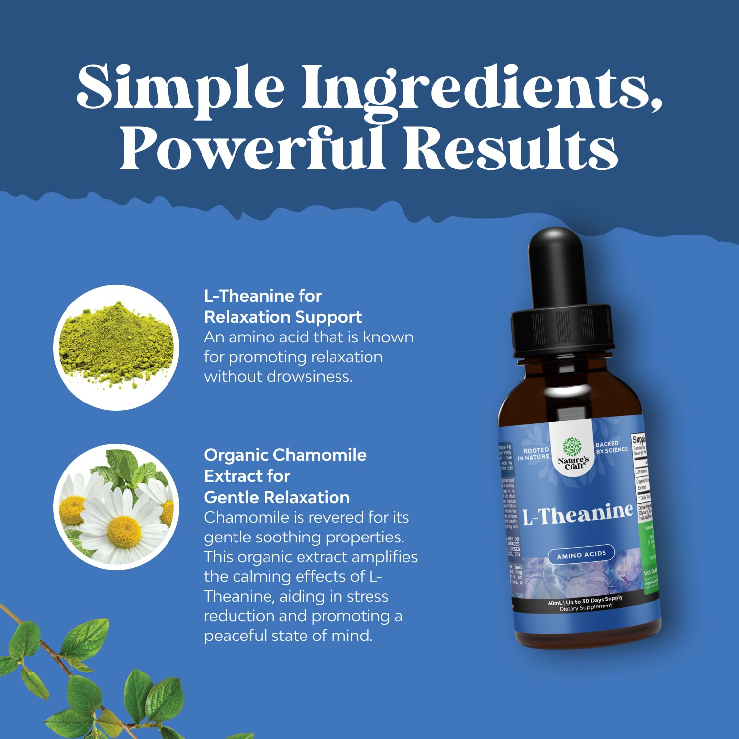 High Absorption L-Theanine Liquid Drops - Nootropic Focus Supplement with L Theanine 200mg Per Serving and Chamomile Extract Supplement for Adults and Kids Relaxation and Focus - 2 Fl Oz Natures CraftAu supplements