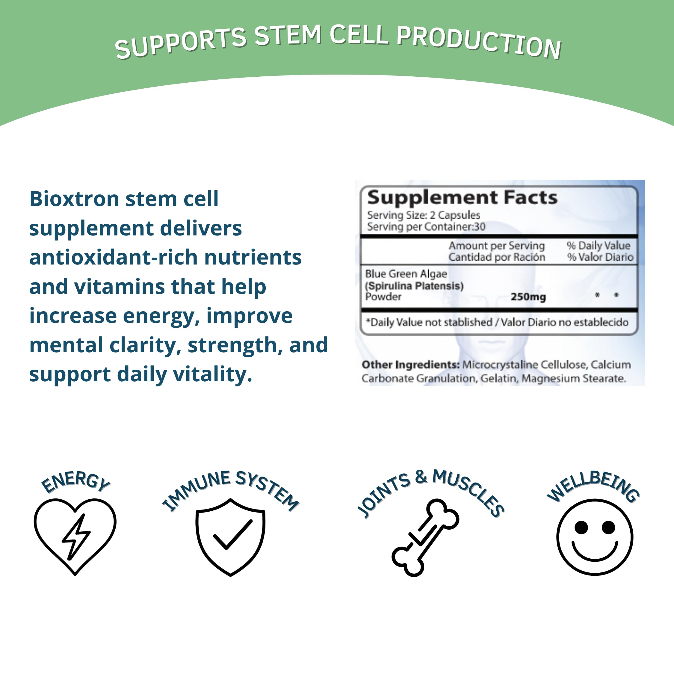 Bioxtron Natural AFA Stem Cell Supplement - Joint Support & Muscle Pain - Immune System Support - Support Energy Levels - Natural Blue Green Algae Spirulina - Pack of 2-120 Caps BioxtronAu supplements