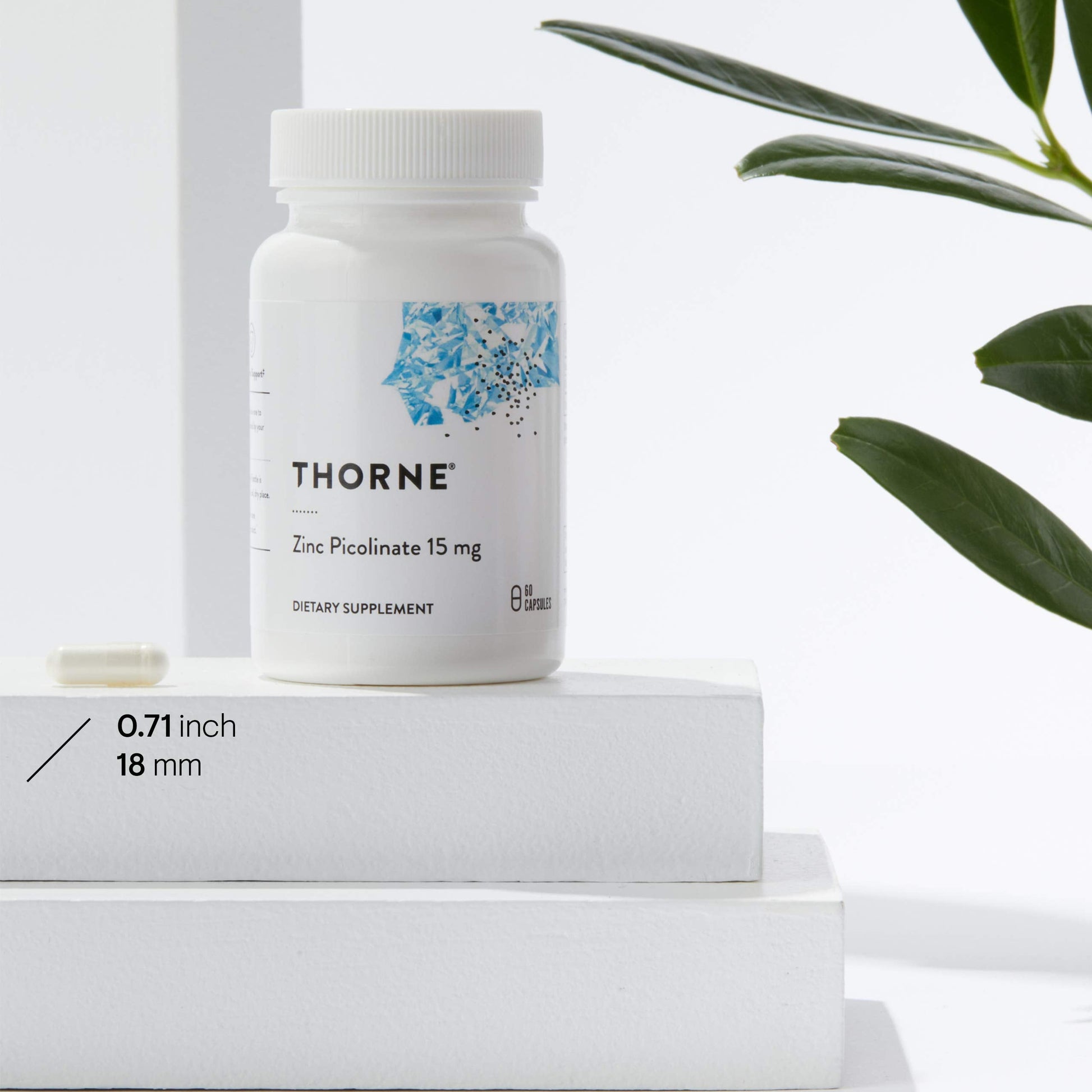 Thorne Zinc Picolinate 15mg - Highly Absorbable Zinc Supplement - Supports Wellness THORNEUS supplements