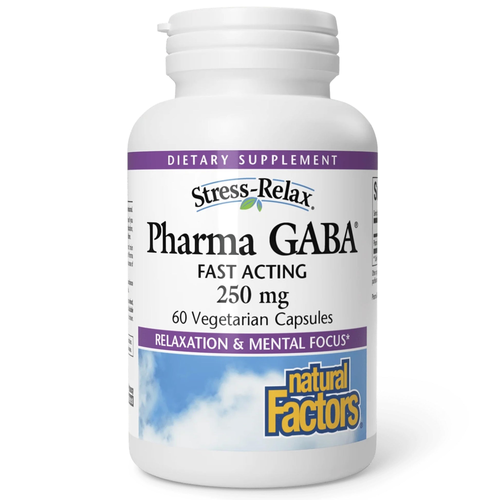 Natural Factors Pharma GABA - Dietary Supplement Supports Calm Sleep & Sleep Quality - Natural, Fast-Working Supplement Aids Focus & Brain Health - 60 Chewable Tablets (60 Servings) Natural FactorsAu supplements