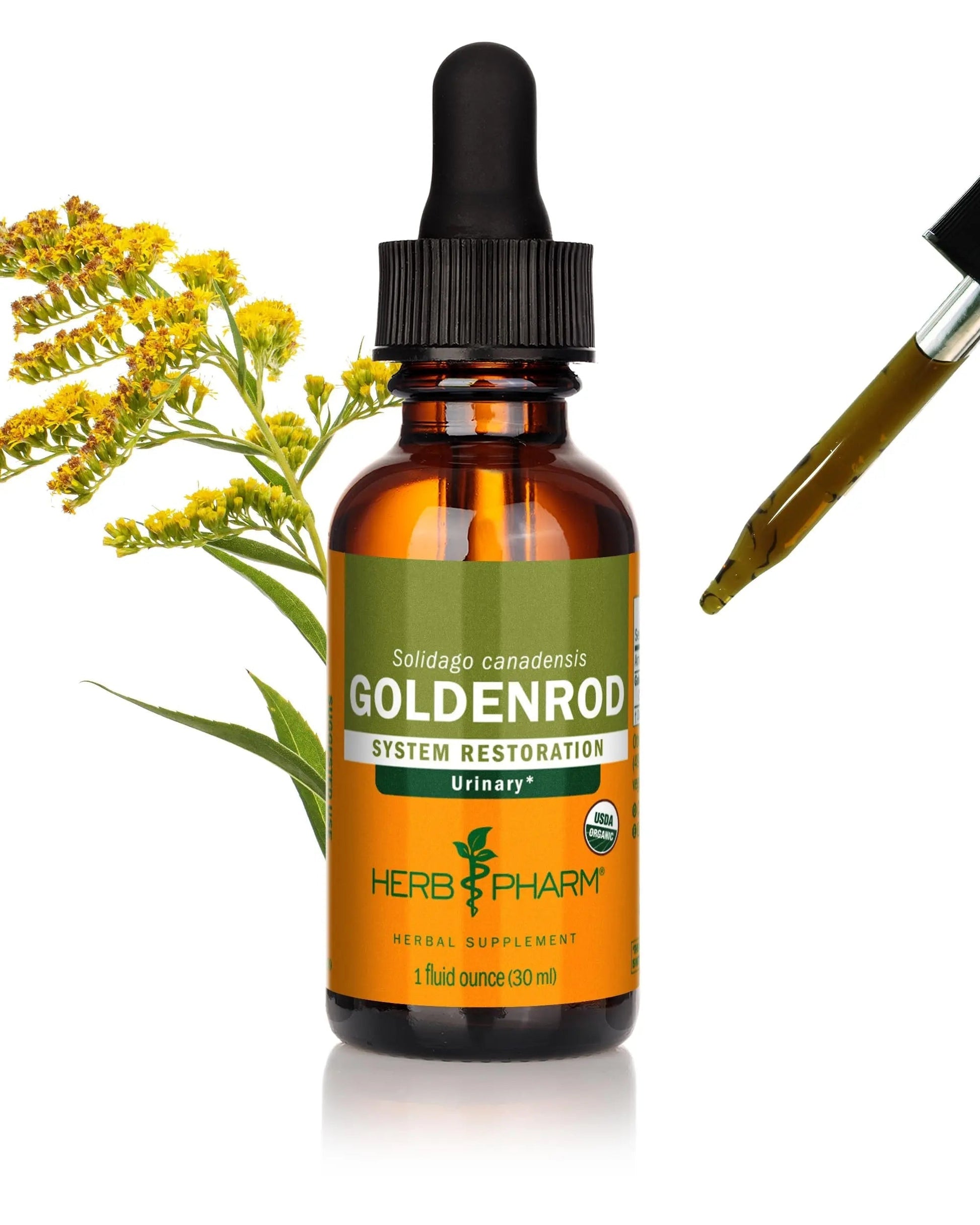 Herb Pharm Certified Organic Goldenrod Liquid Extract for Urinary System Support, 1 Fl Oz (Pack of 1) Herb PharmAu supplements